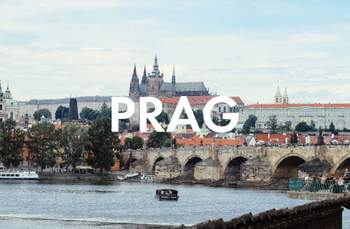 Vegan Essen in Prag: Unsere liebsten Restaurants
