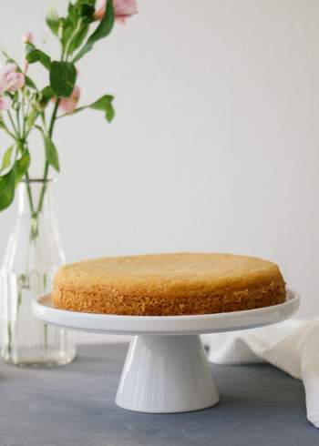 Vegan sponge cake: so fluffy & easy!