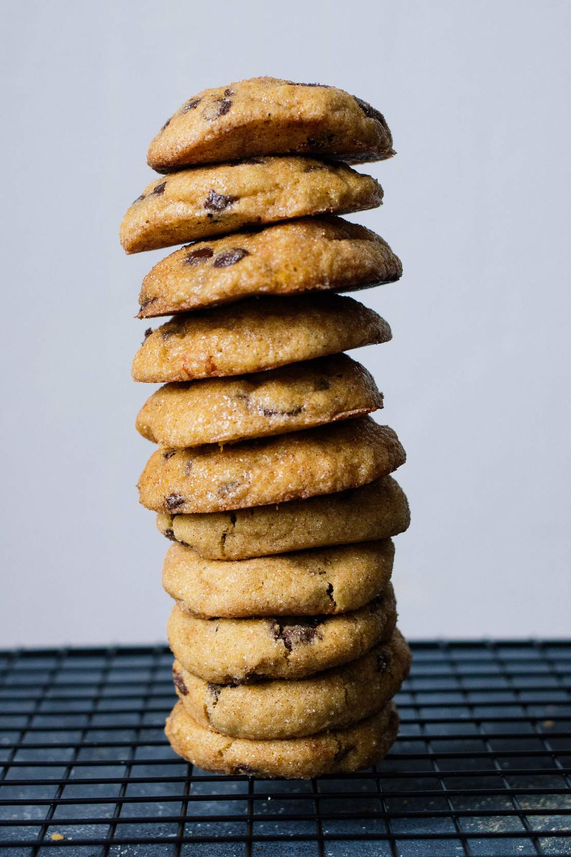 R210 Vegan Snickerdoodles with Pumpkin