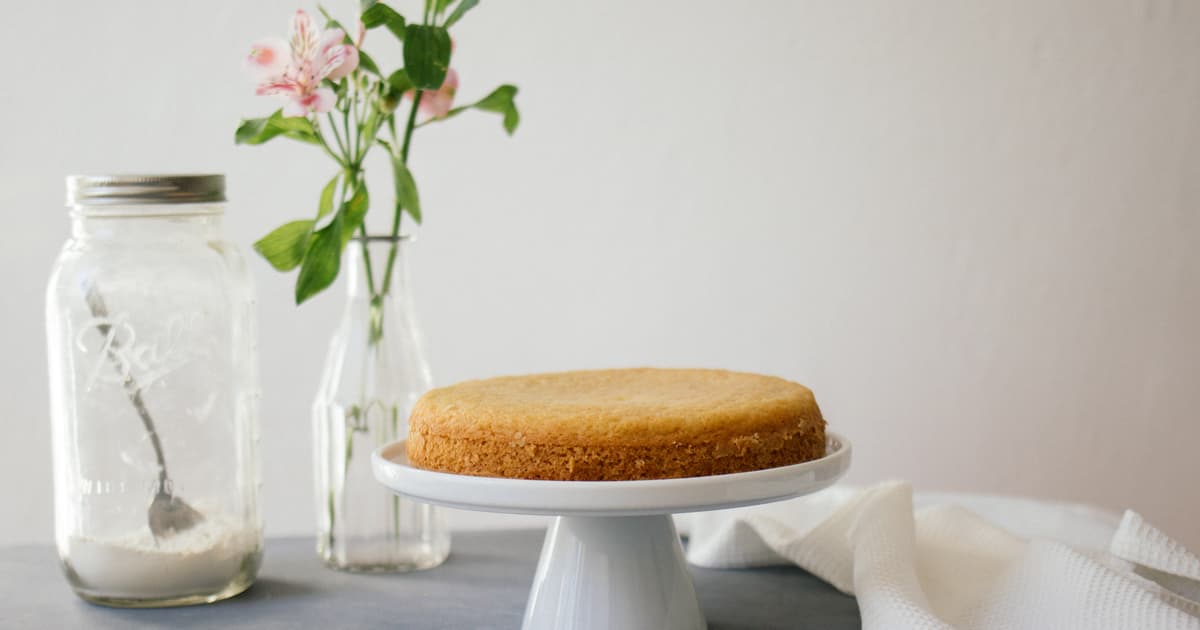 Vegan sponge cake: so fluffy & easy | Vegan baking | Zucker&Jagdwurst