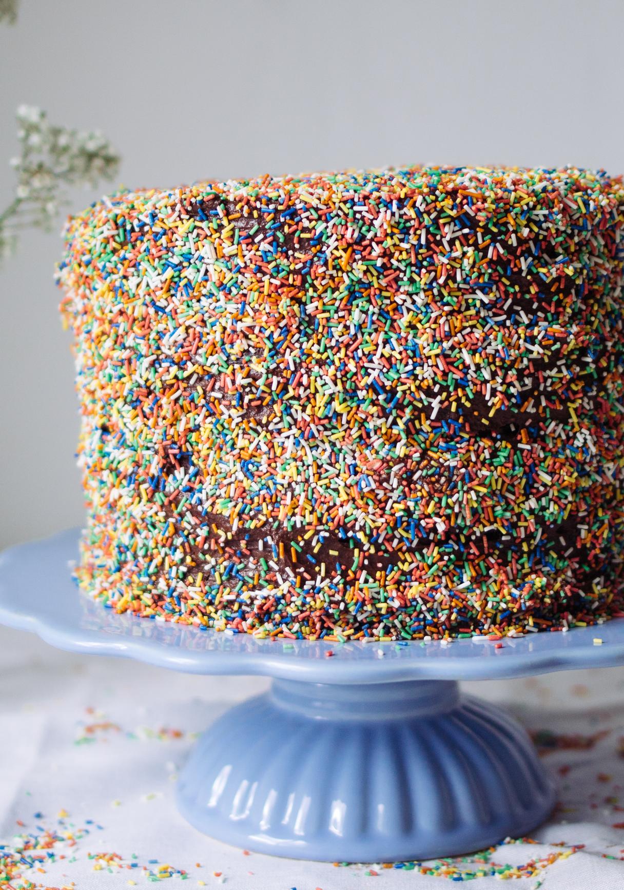 Vegan Chocolate Cake with Sprinkles