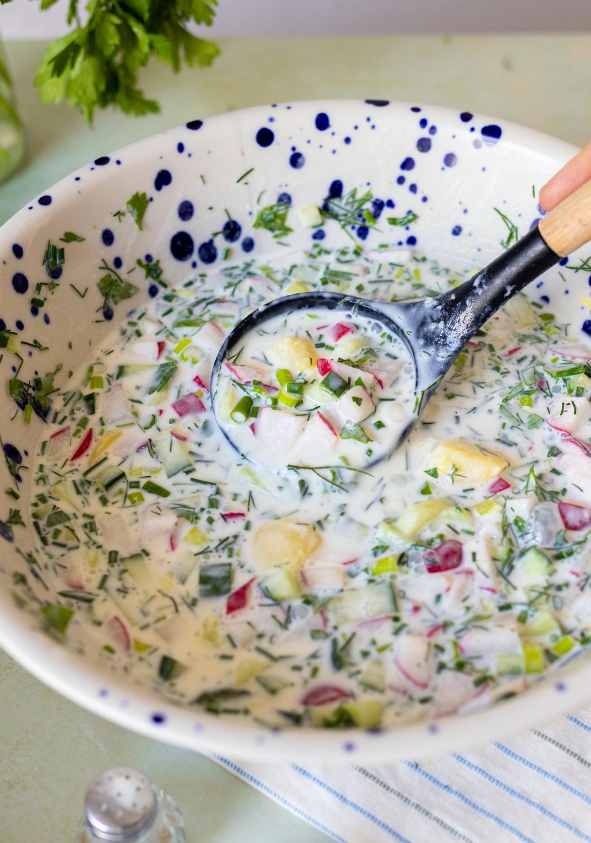 Vegane Okroshka (Cold Russian Soup)