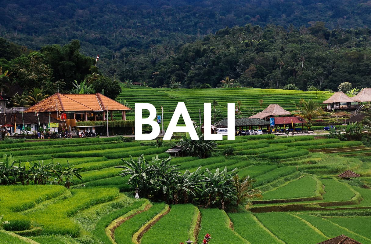 How to Eat Vegan in Bali: Our favorite restaurants