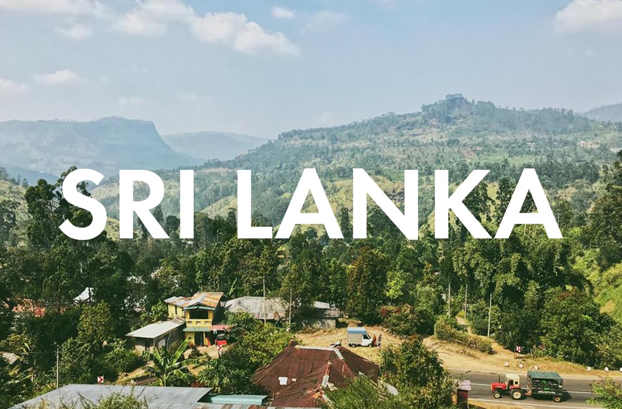 Vegan Essen in Sri Lanka: Unsere liebsten Restaurants