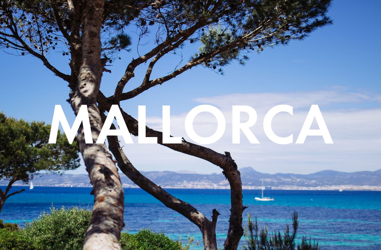 How to Eat Vegan in Mallorca: Our favorite restaurants