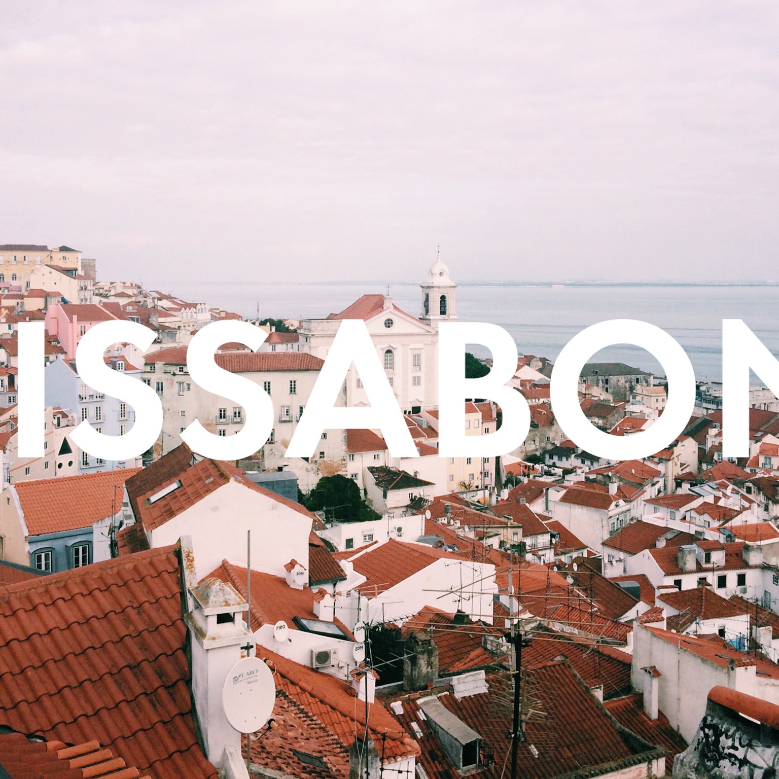 Vegan Essen in Lissabon: Unsere liebsten Restaurants