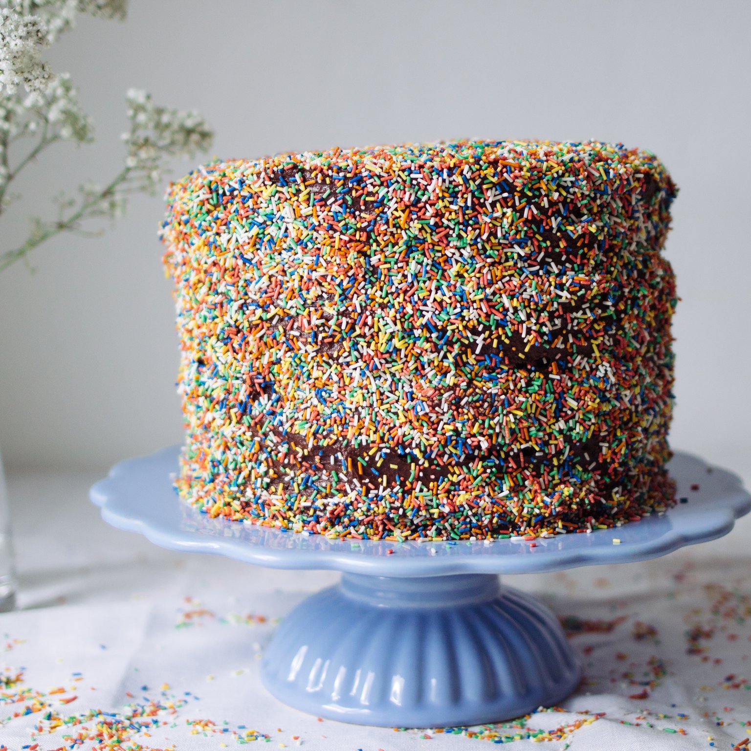 Vegan Chocolate Cake with Sprinkles