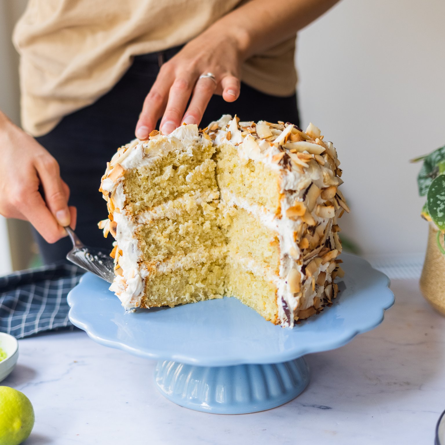 Vegan Coconut Lime Cake