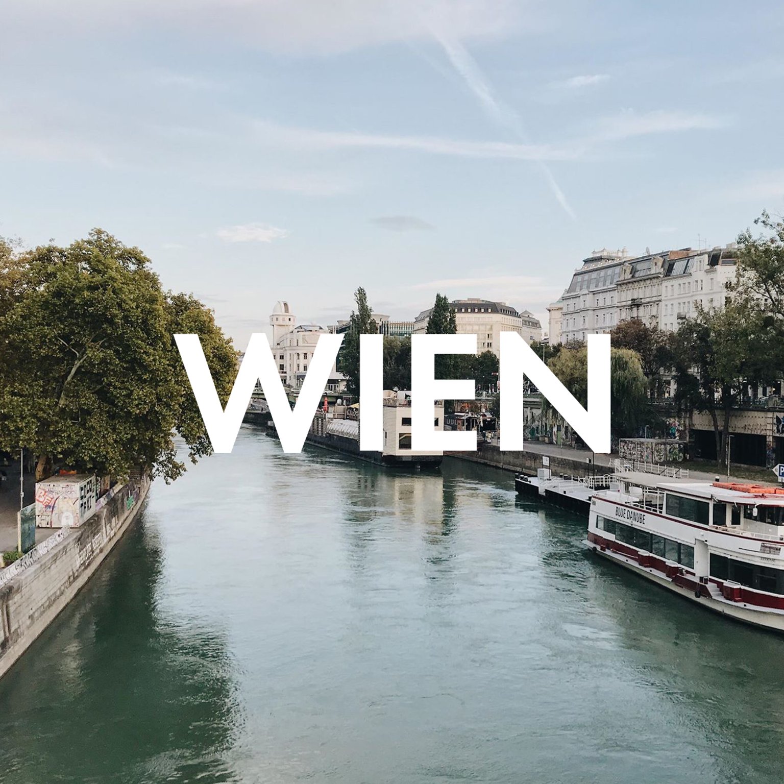 Vegan Essen in Wien: Unsere liebsten Restaurants