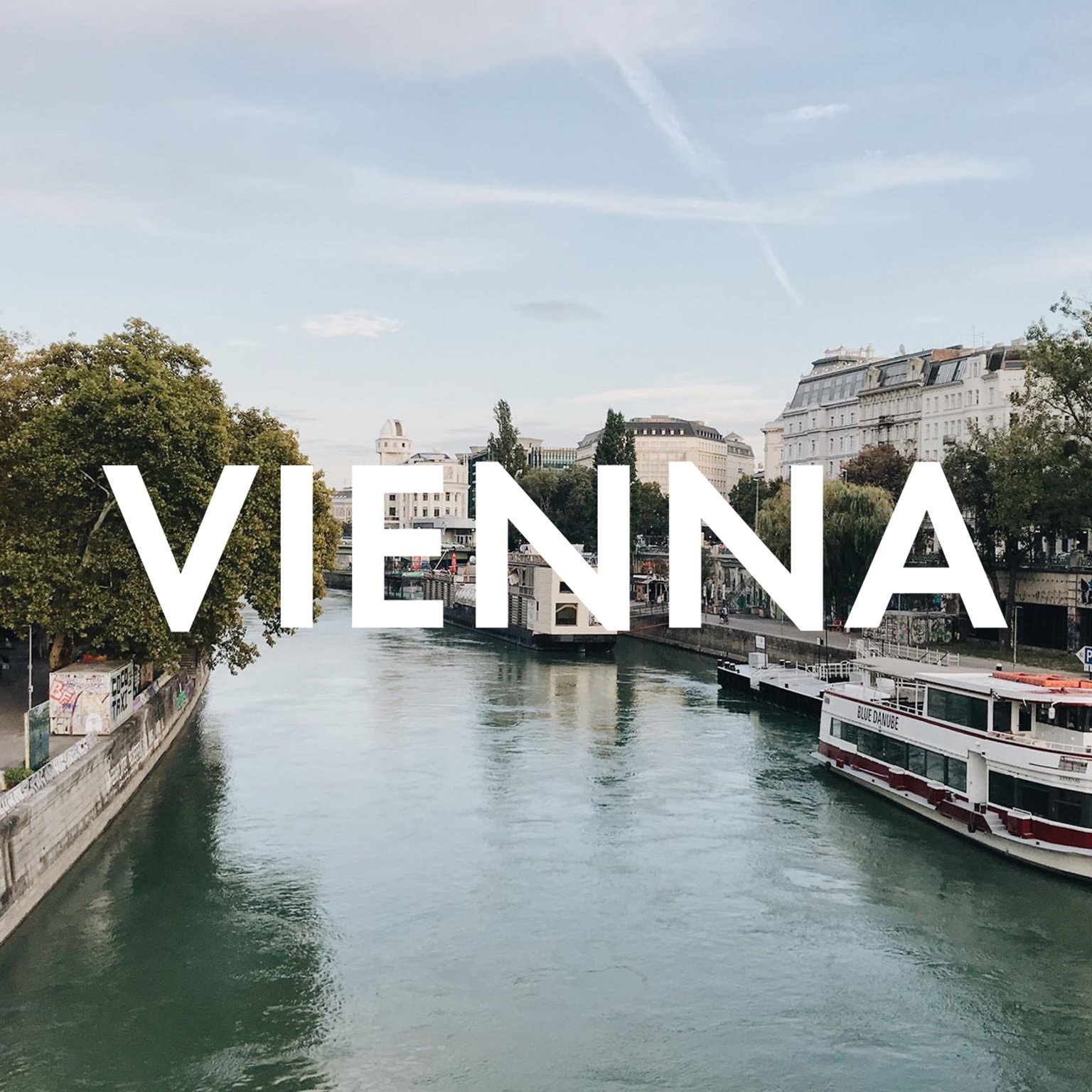 How to Eat Vegan in Vienna: Our favorite restaurants