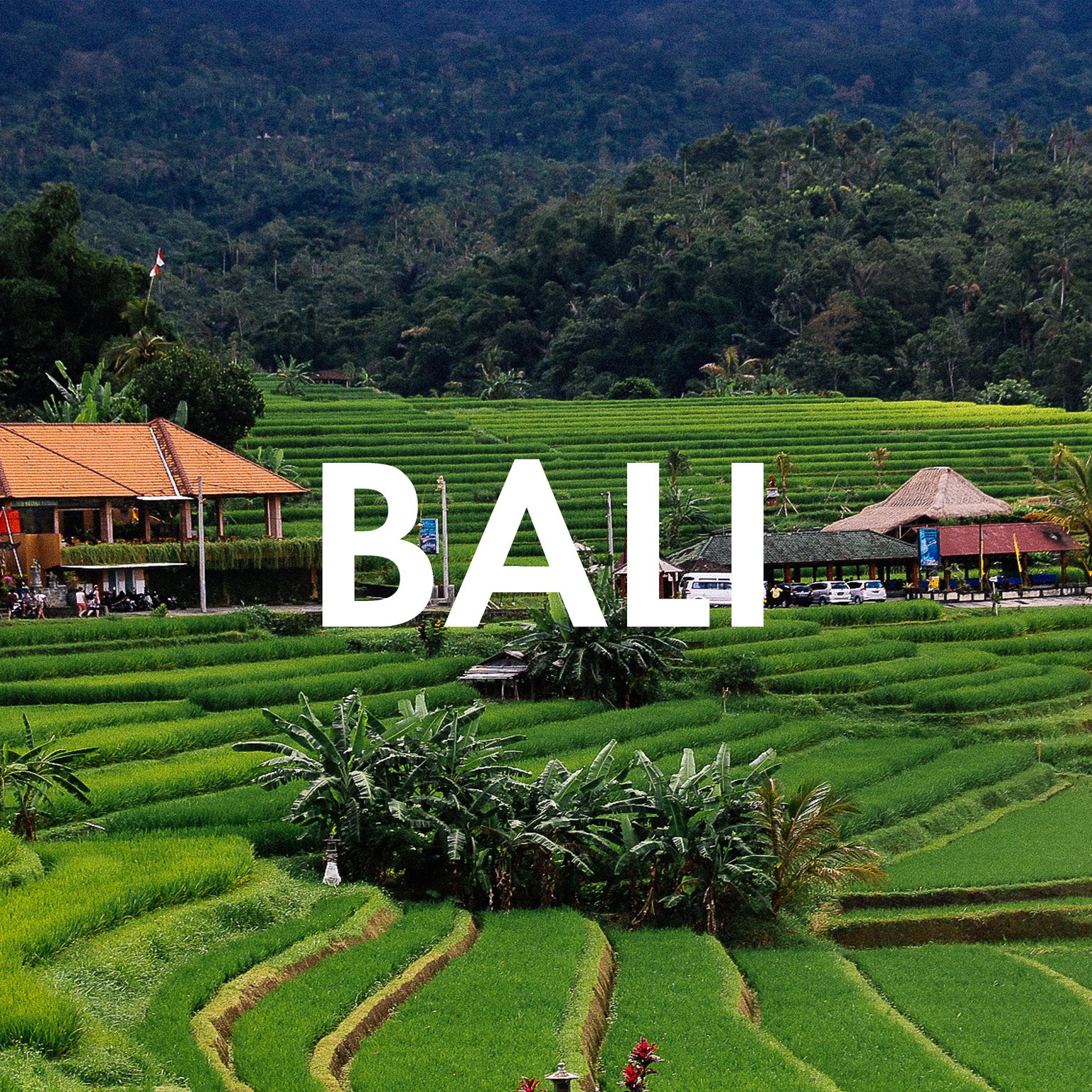 Vegan Essen in Bali: Unsere liebsten Restaurants