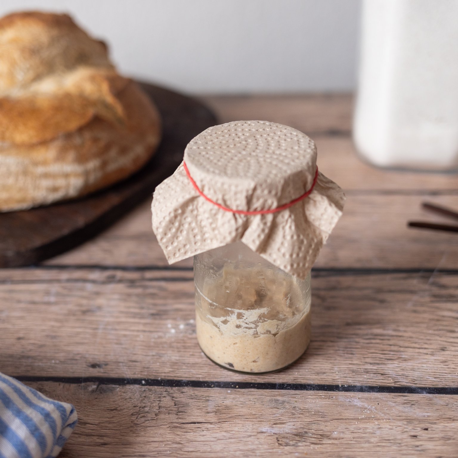 Sauerteig Schritt für Schritt ansetzen