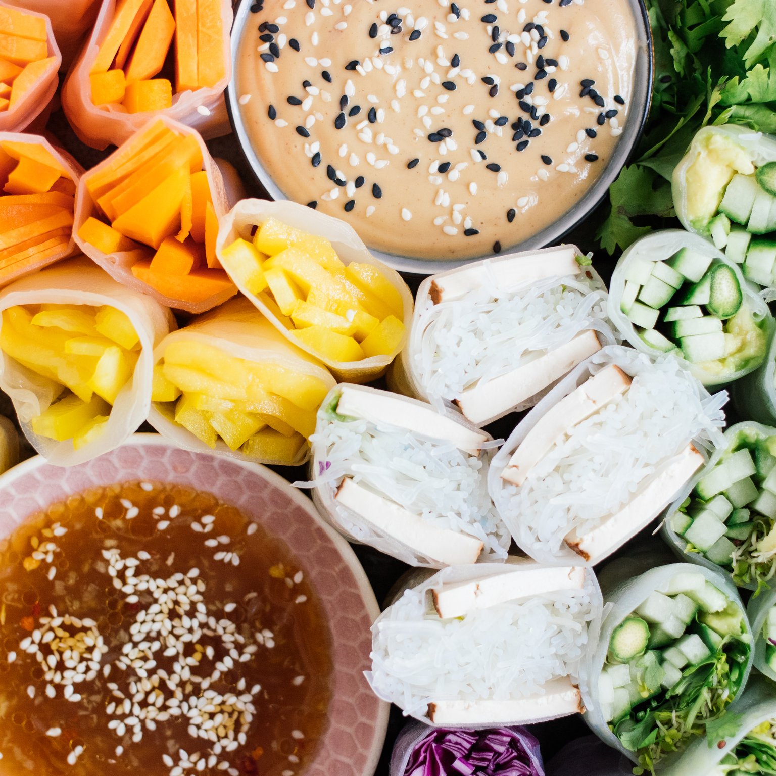 Vegan Summer Rolls with 2 Dips
