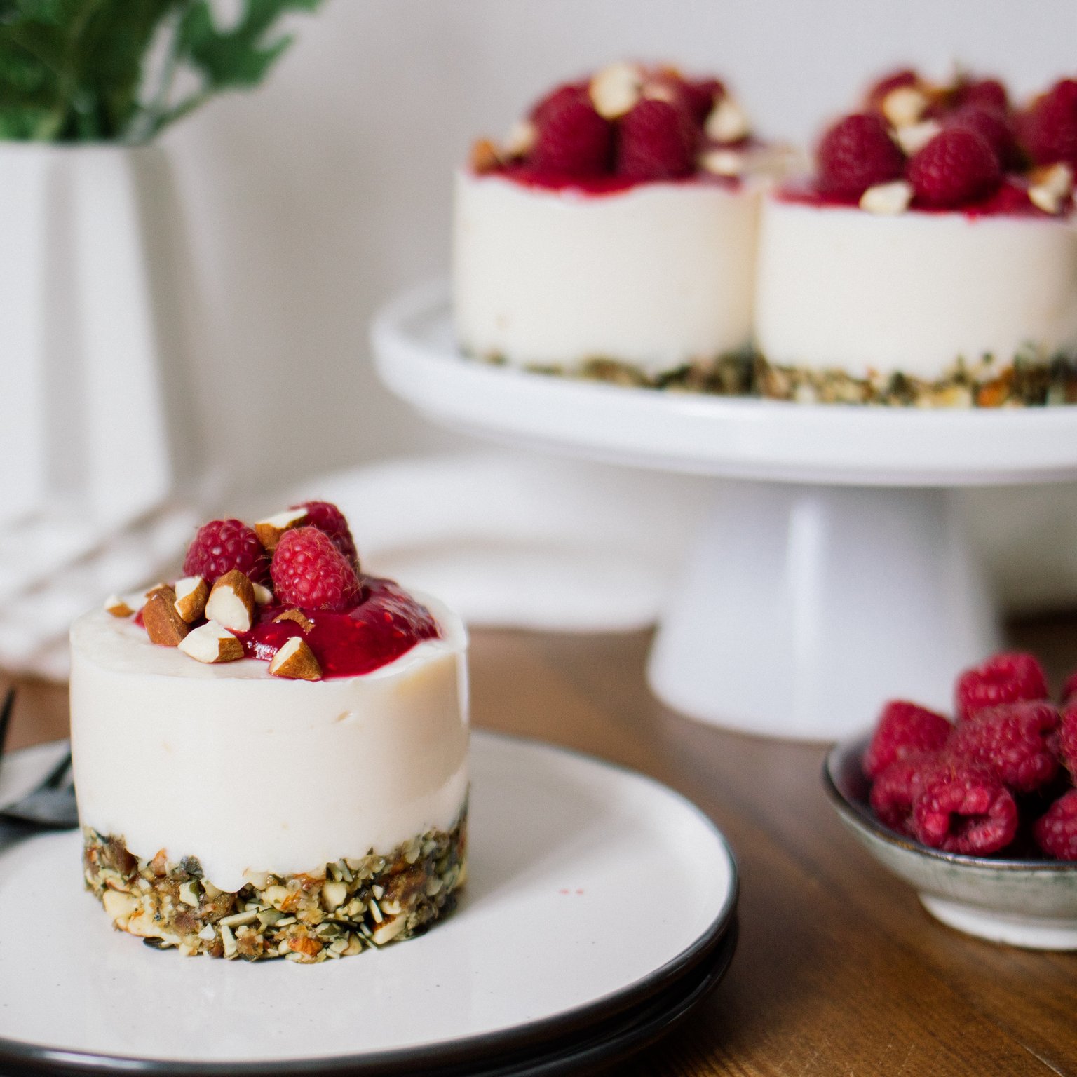 Vegan No-Bake Raspberry Yogurt Cakes