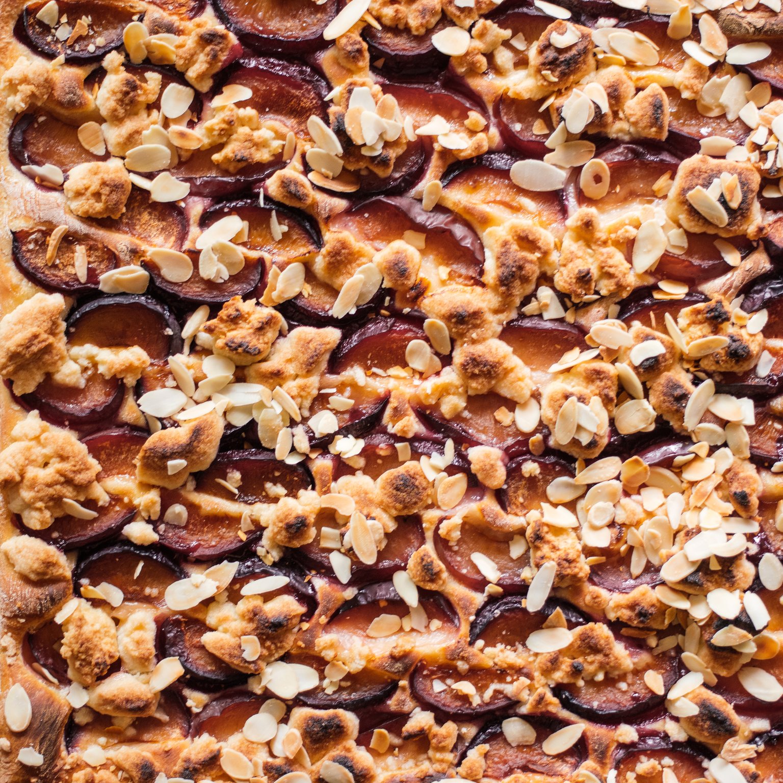 Vegan Sheetpan Plum Cake with Yeast Dough and Crumble Topping