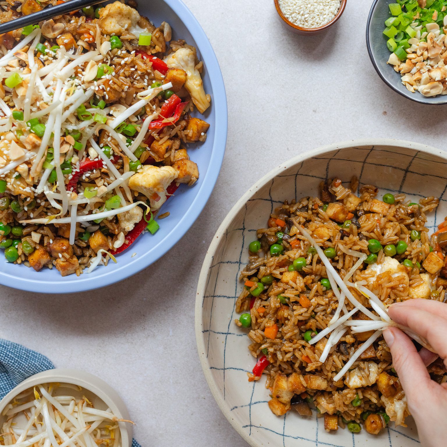 Vegan Stir Fry Rice with Tofu