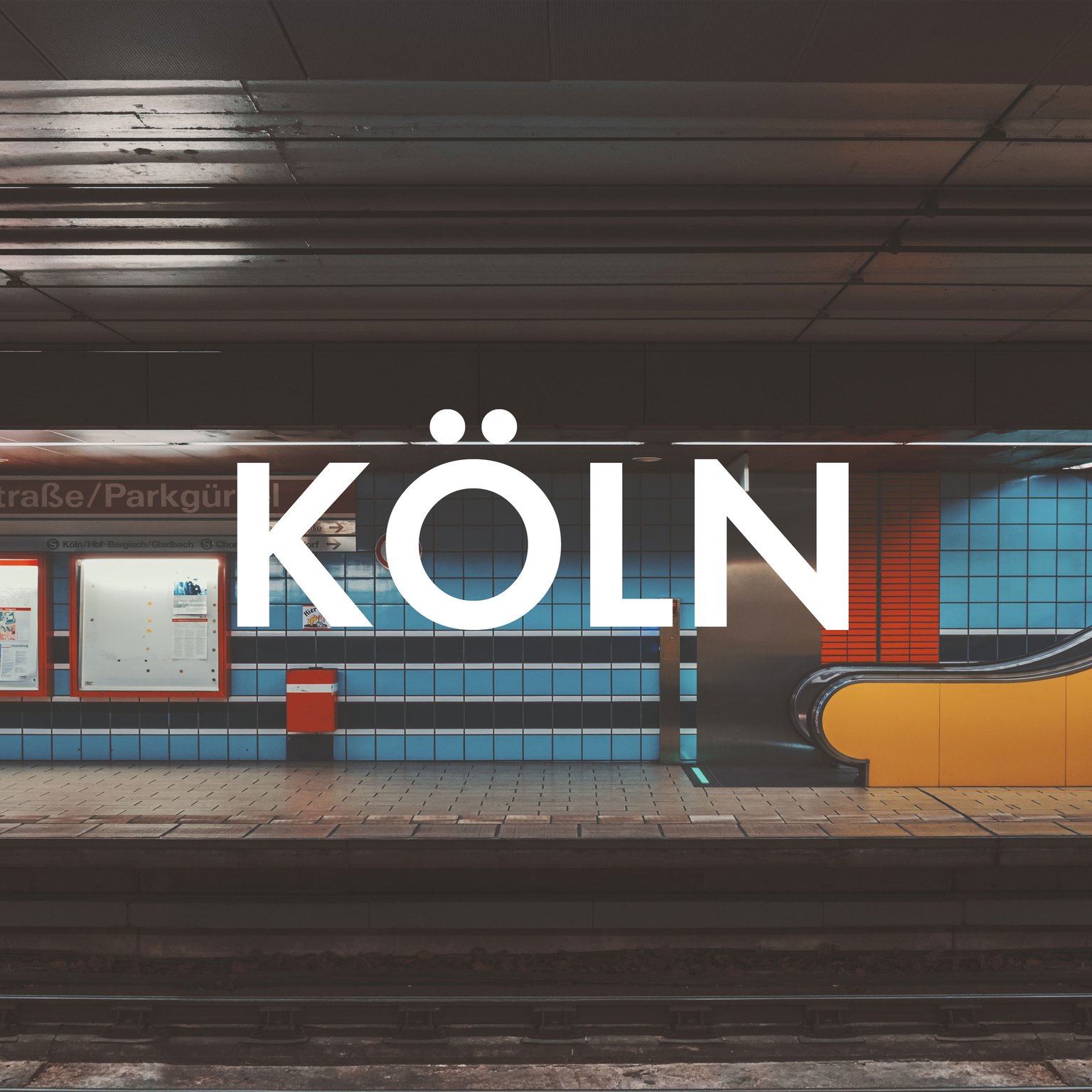 Vegan Essen in Köln: Unsere liebsten Restaurants