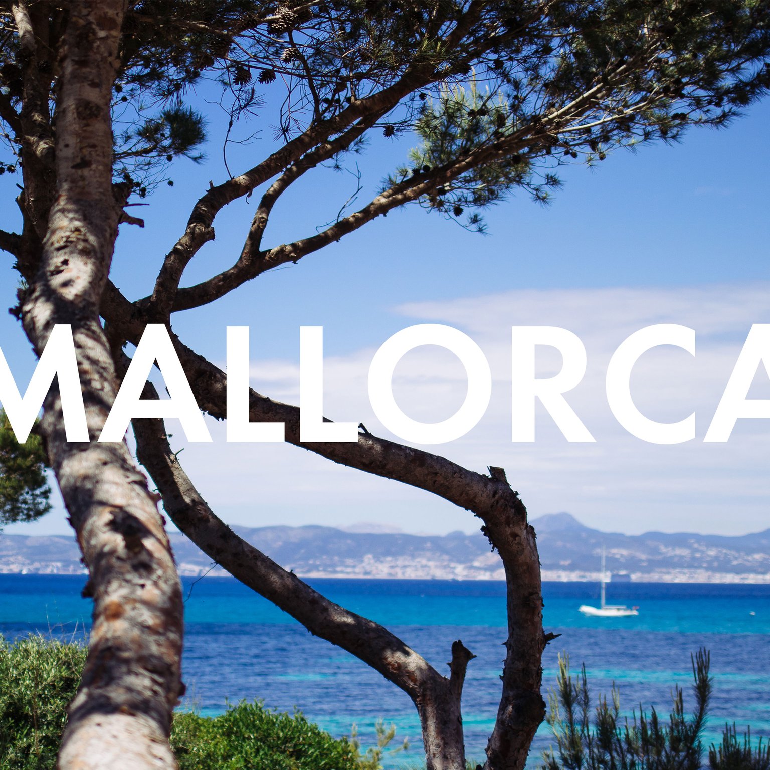 How to Eat Vegan in Mallorca: Our favorite restaurants