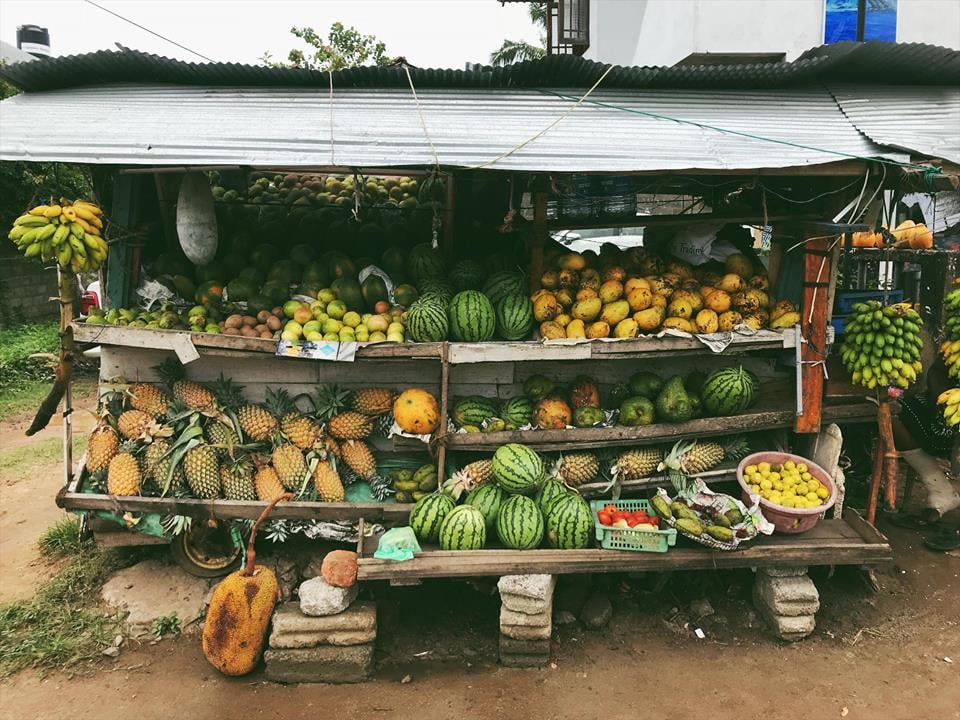 fruits in sri lanka