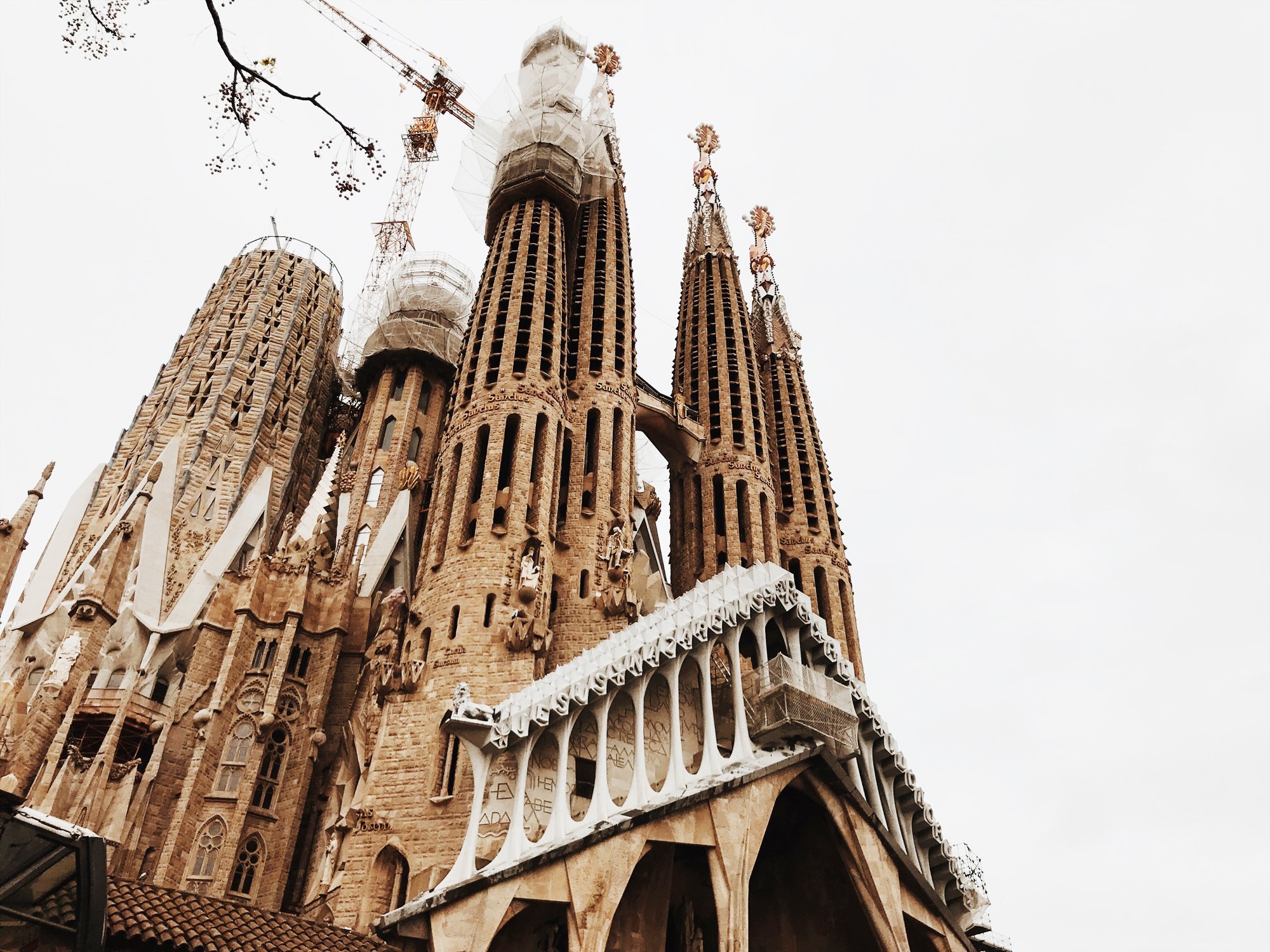 cathedral of barcelona