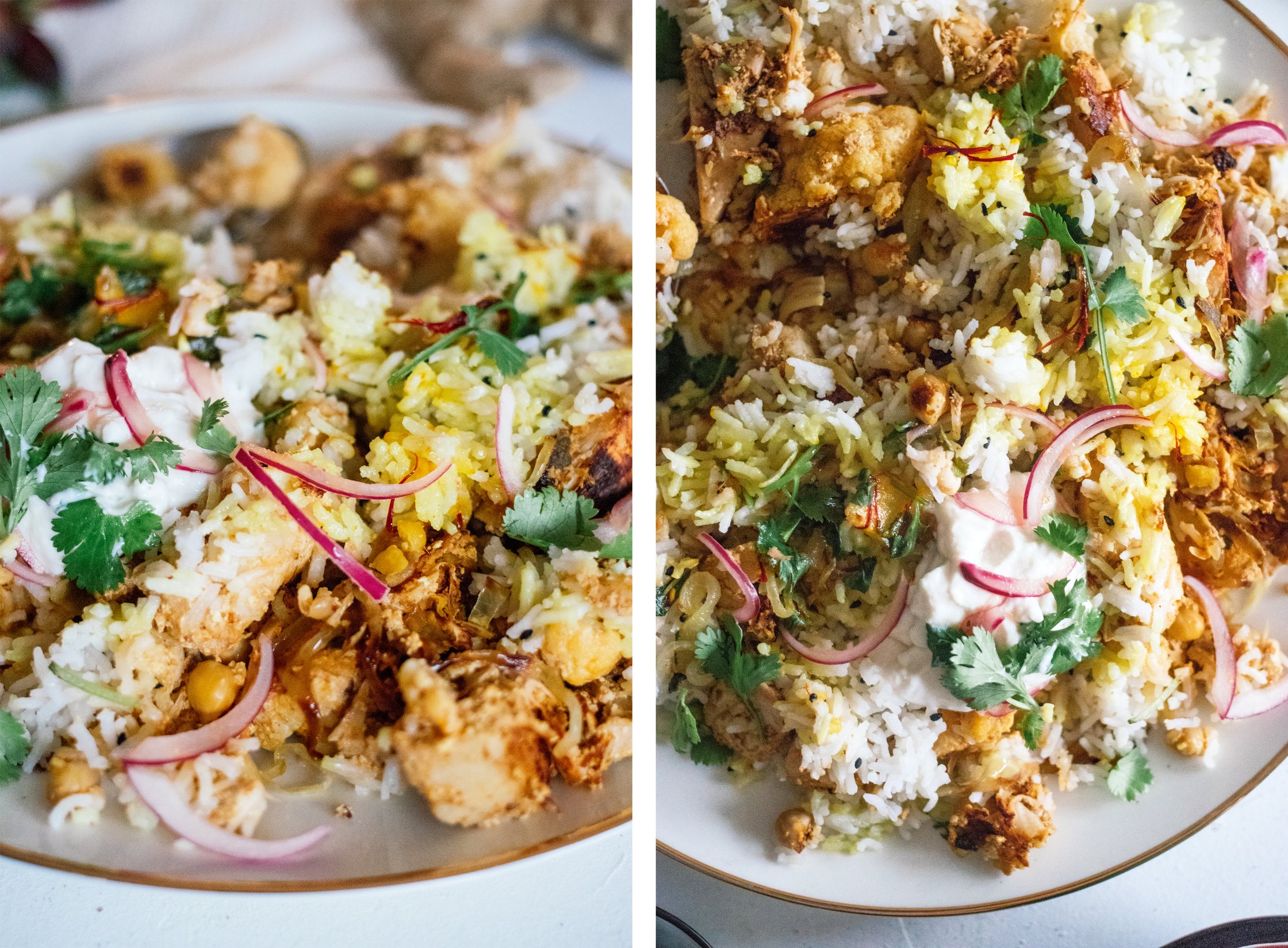 closeup of Vegan Jackfruit Biryani