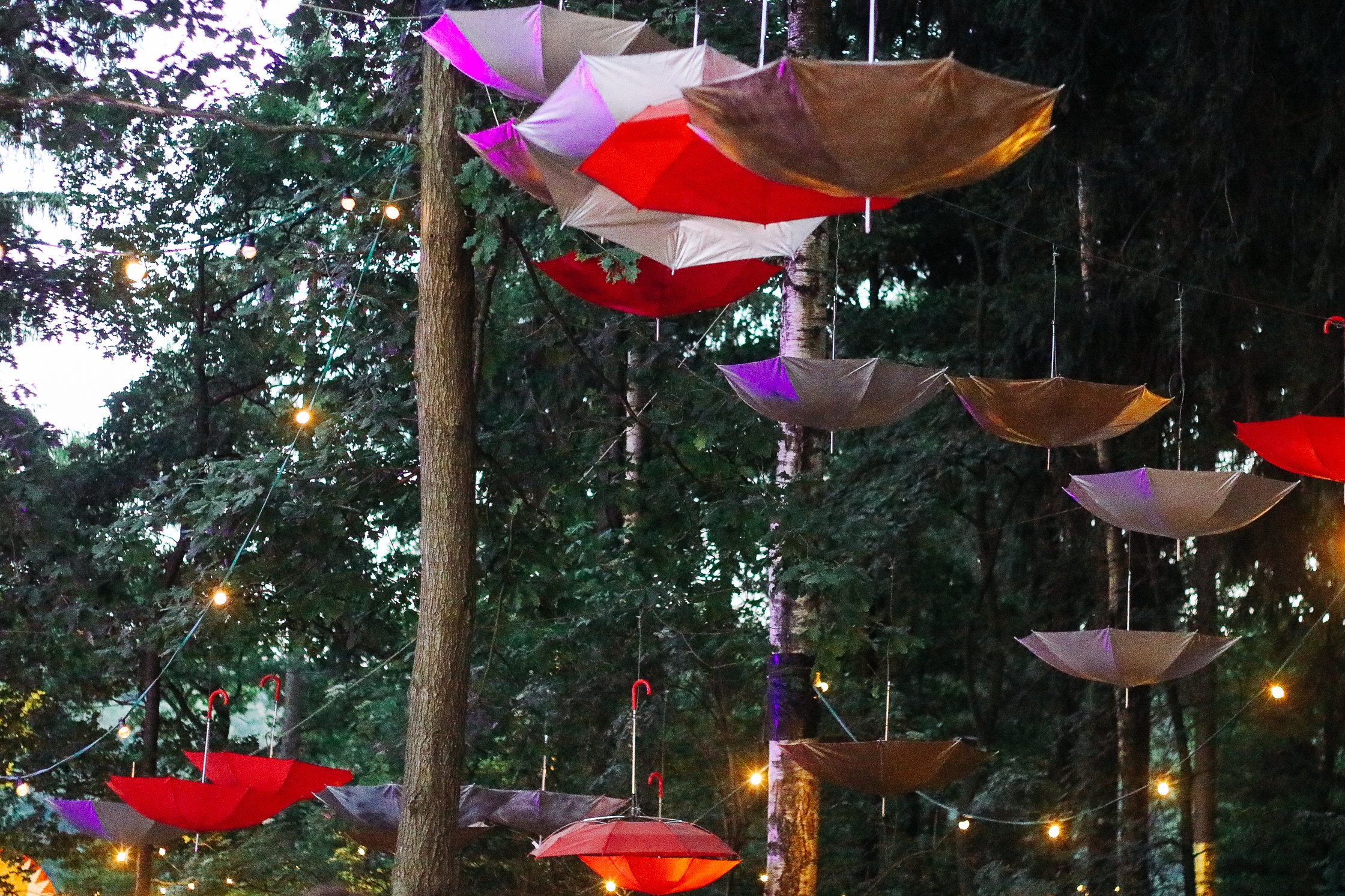 Regenschirme hängen in den Bäumen als Deko