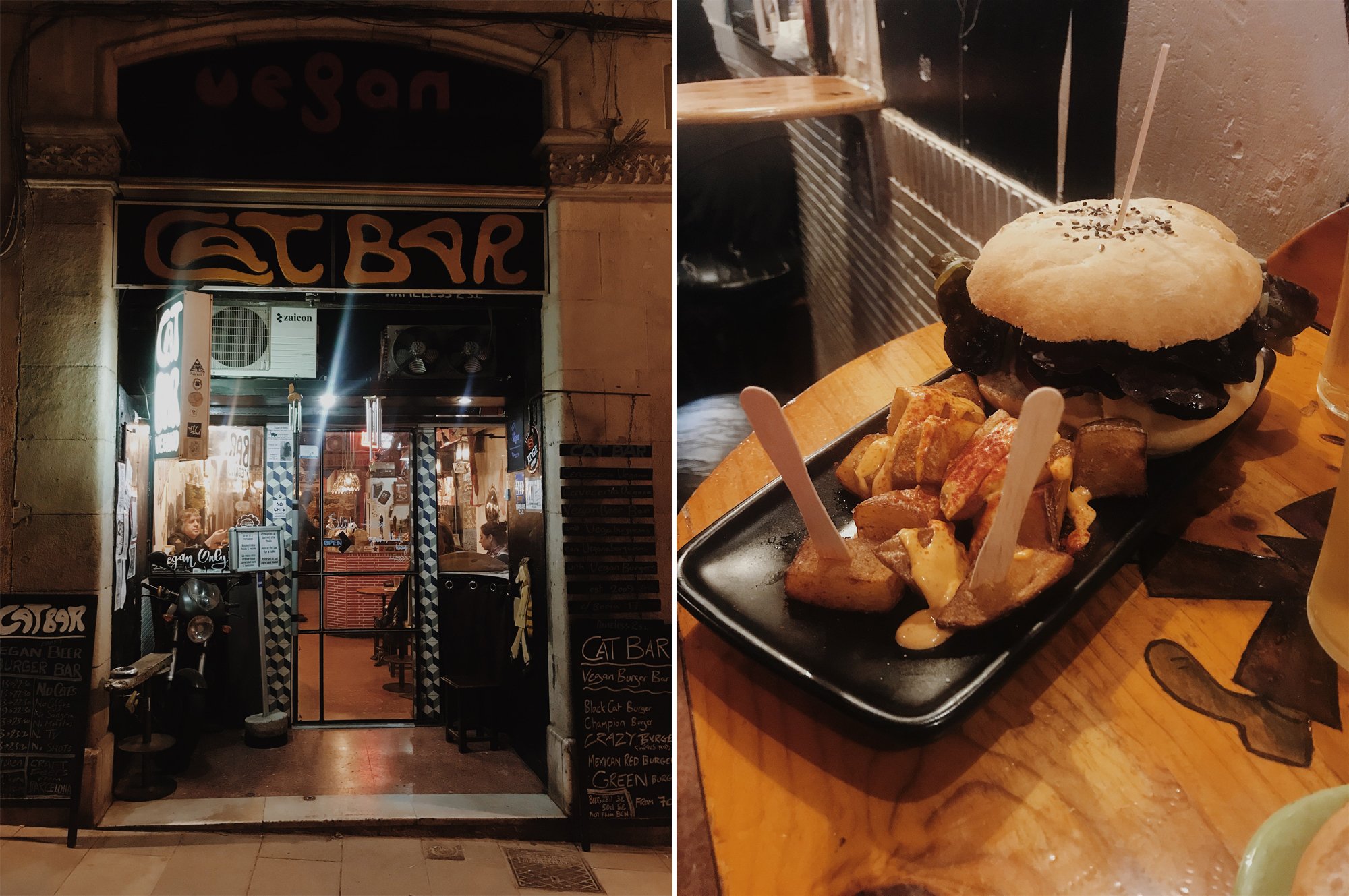 cat bar in barcelona and vegan burger