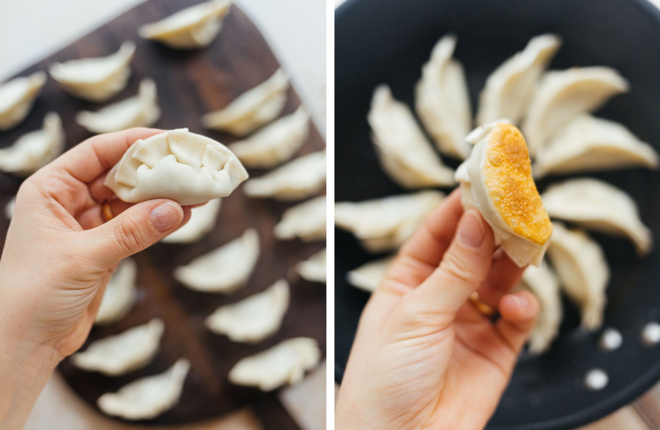 vegan dumplings formed; vegan dumplings fried from below