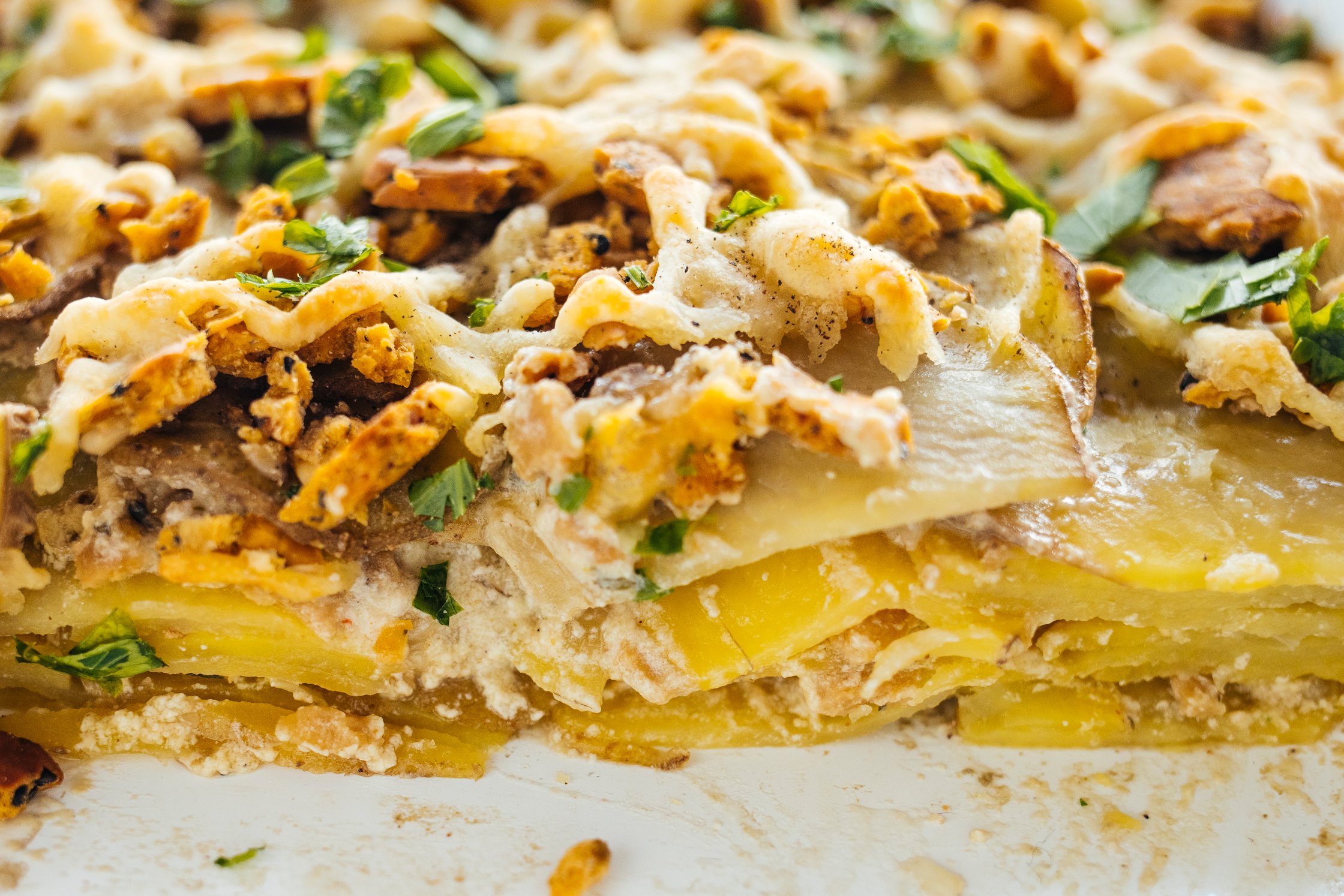 Close Up Gratin Potatoes