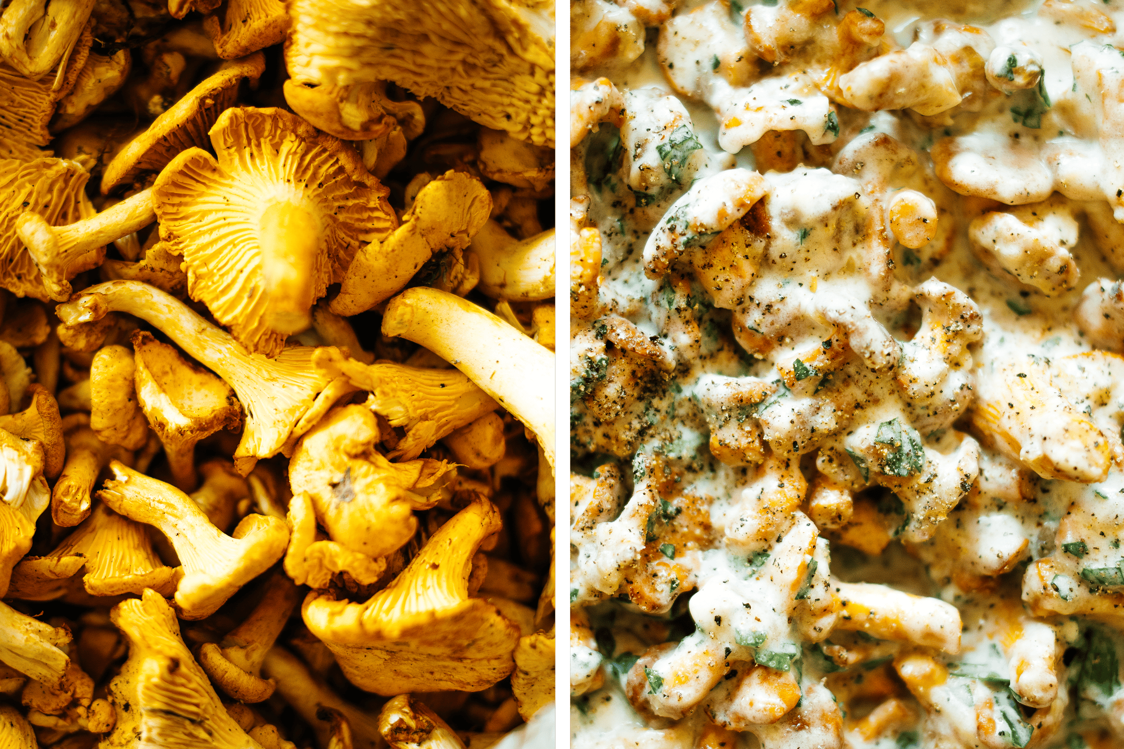 vegane Pfifferlinge in Rahmsoße