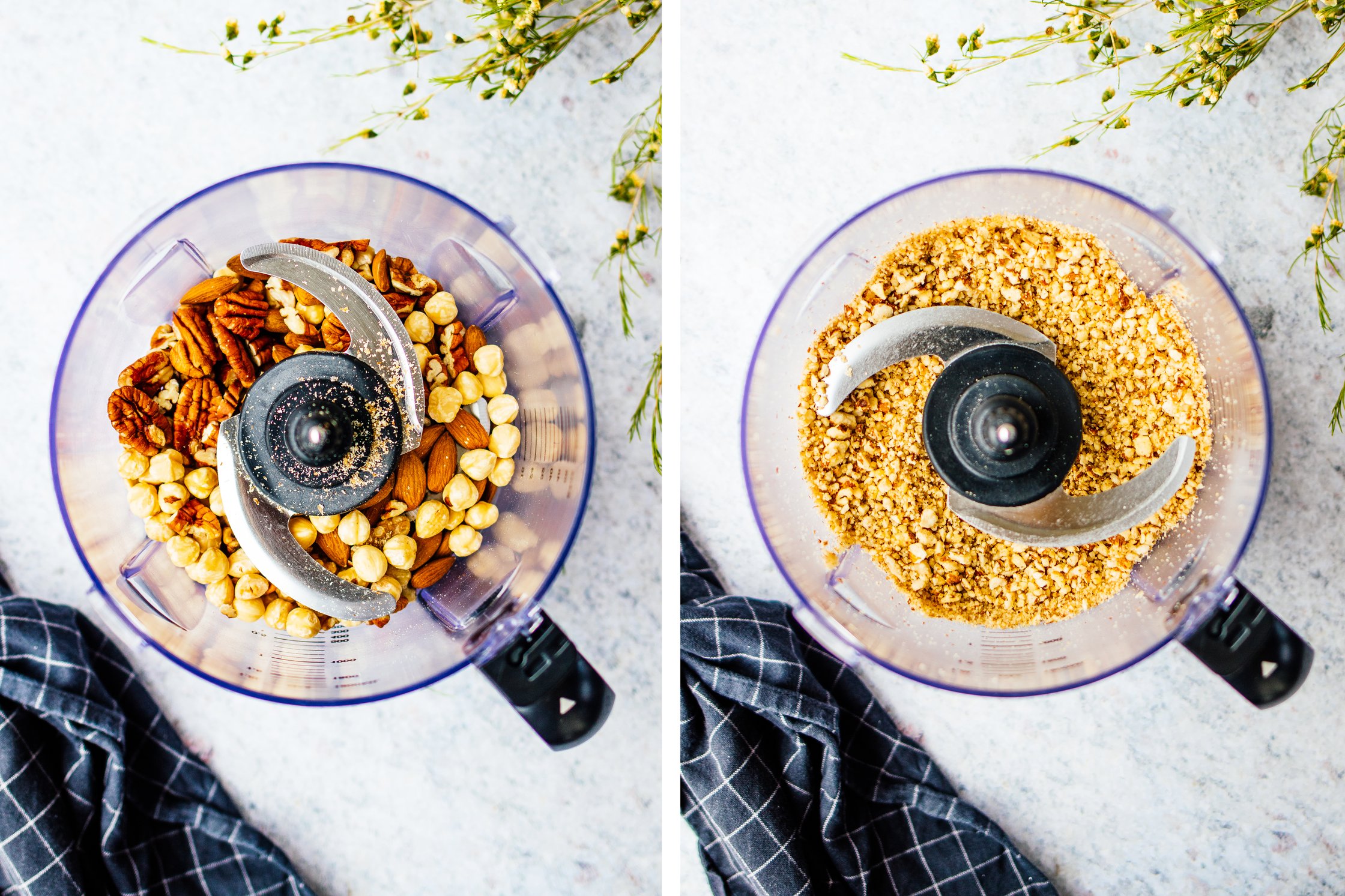 nuts in a blender