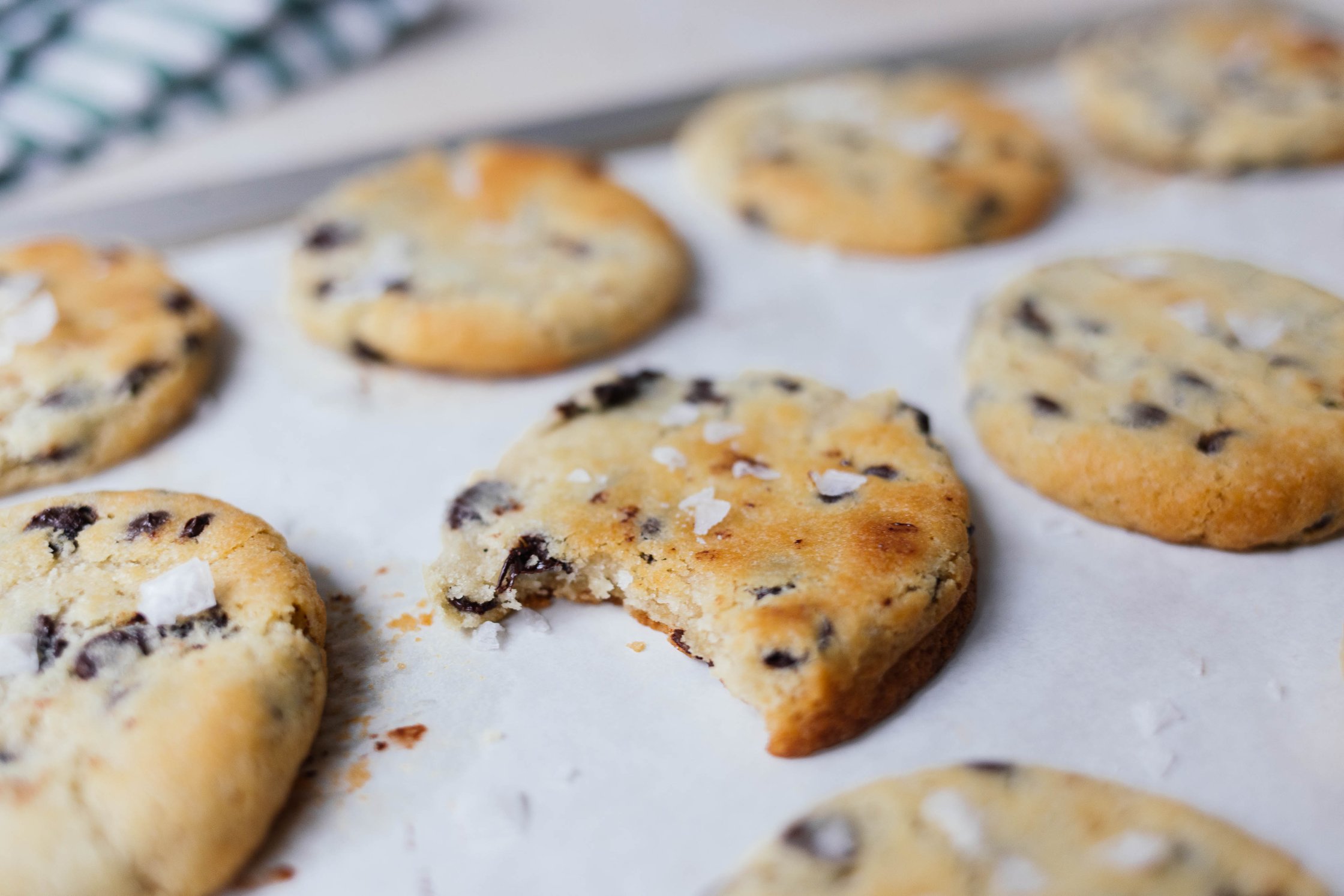 vegane Chocolate Chip Cookies nach dem Backen auf einem Backblech