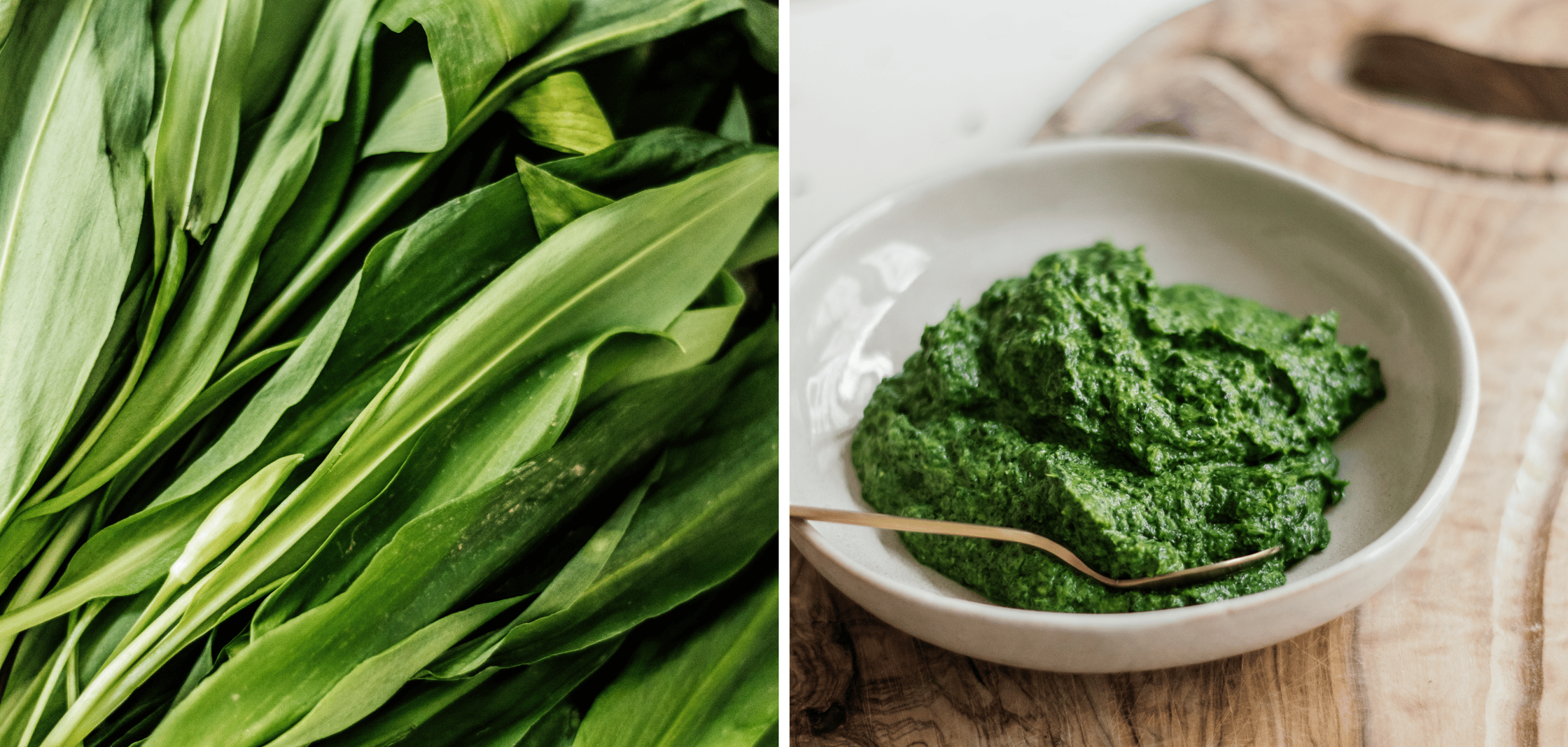 Bärlauchblätter und Bärlauchpesto.