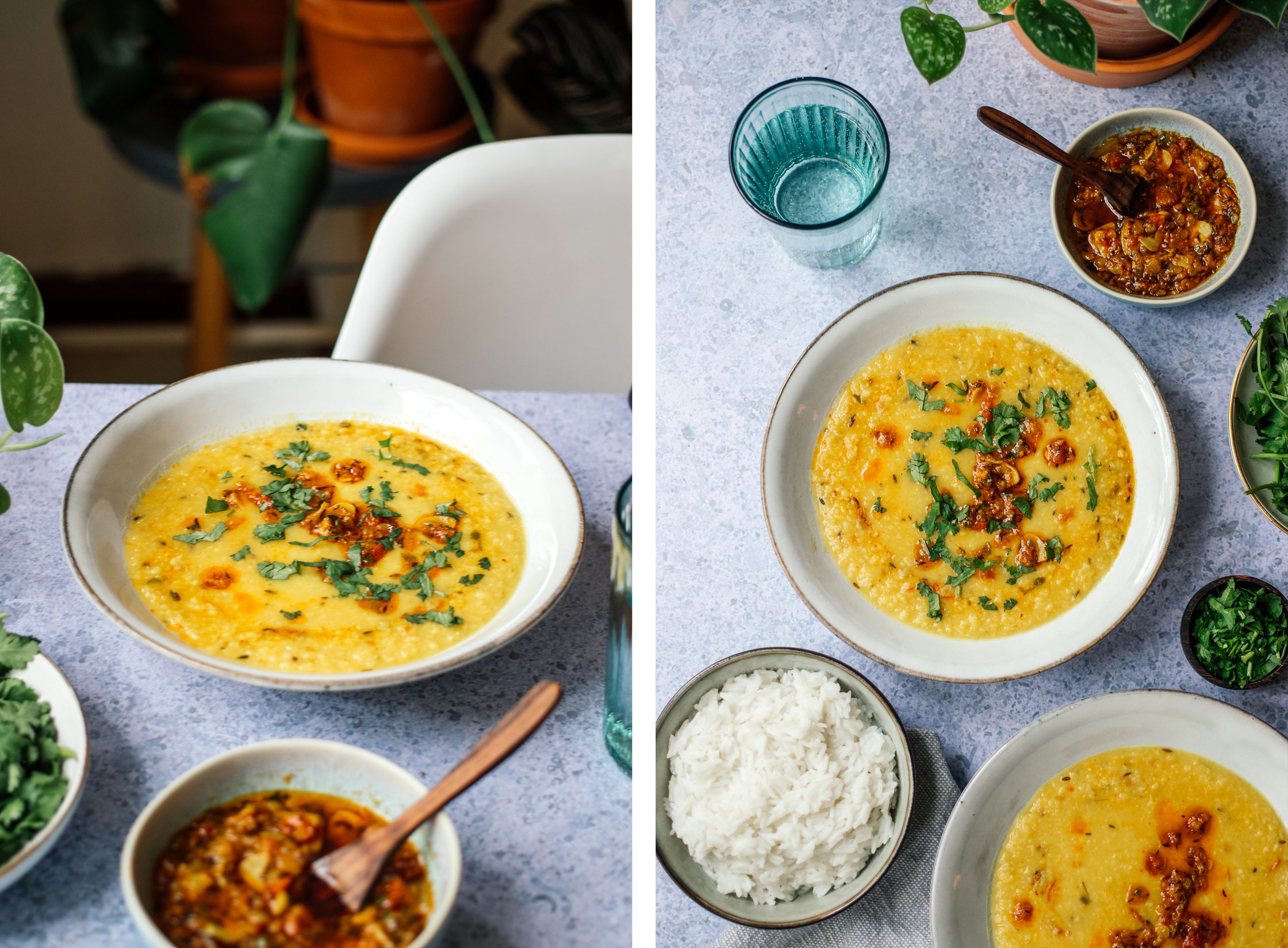 ein teller mit veganem Chana Dal Tadka