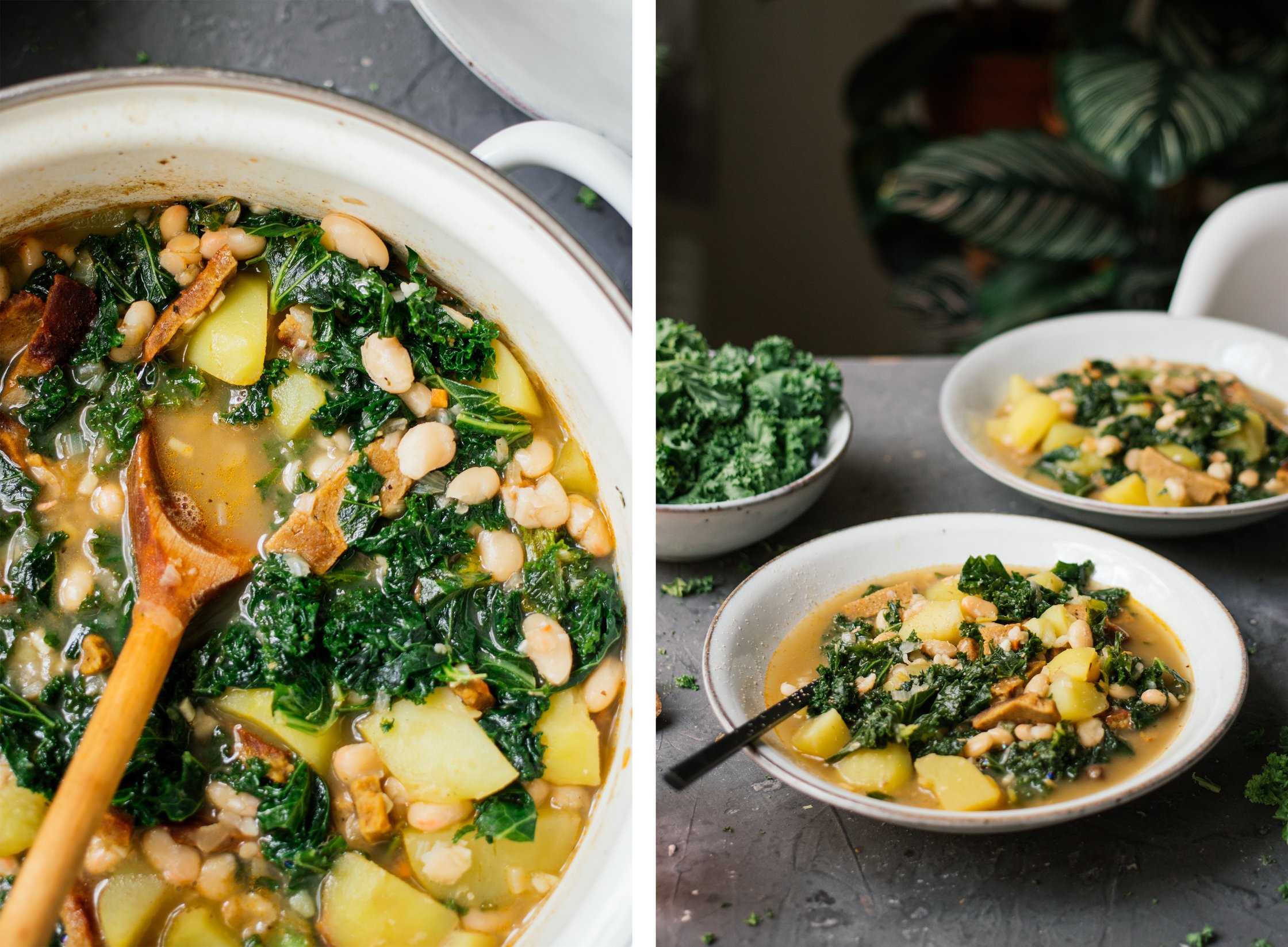 two plates of Vegan Kale Stew with Seitan and White Beans
