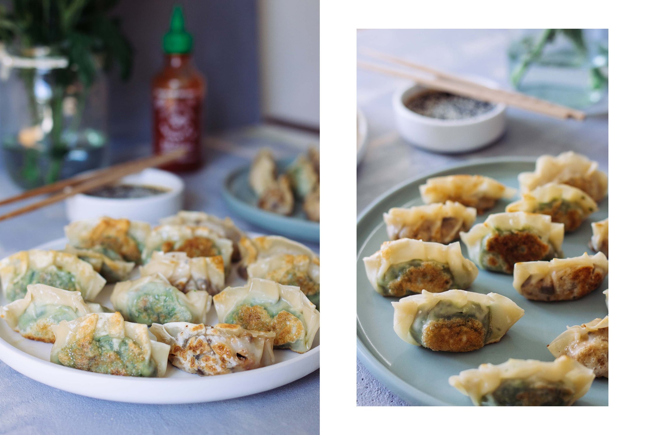 gebratene Dumplings