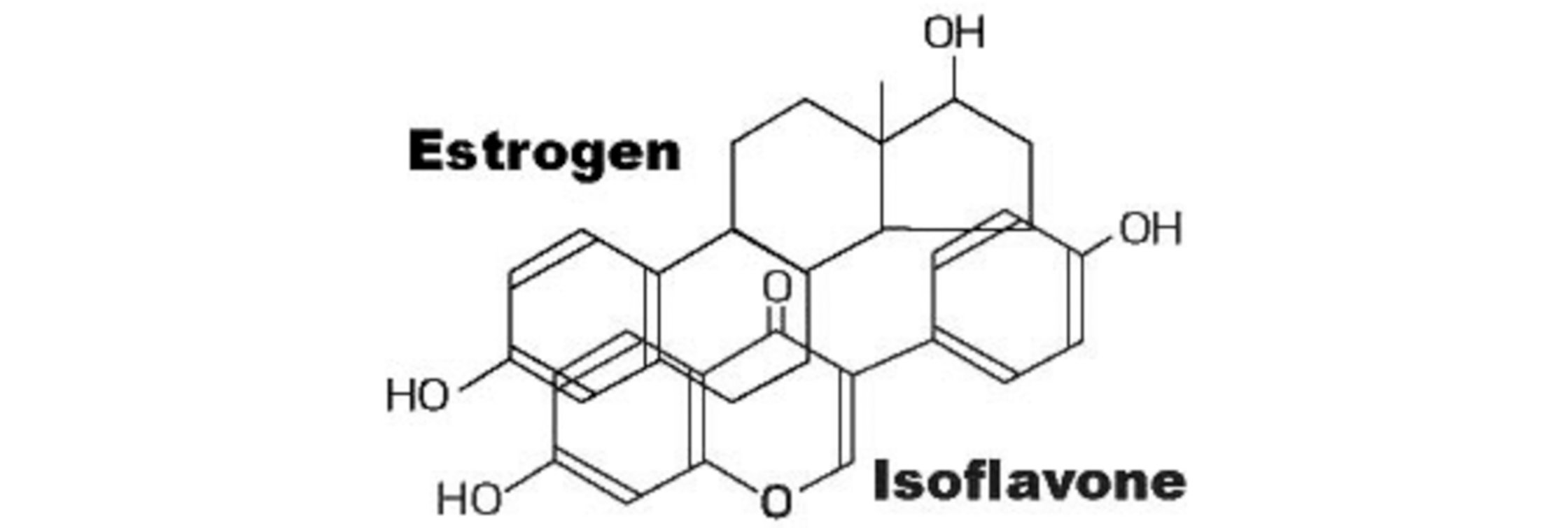 Unterschied zwischen Östrogen und Isoflavon