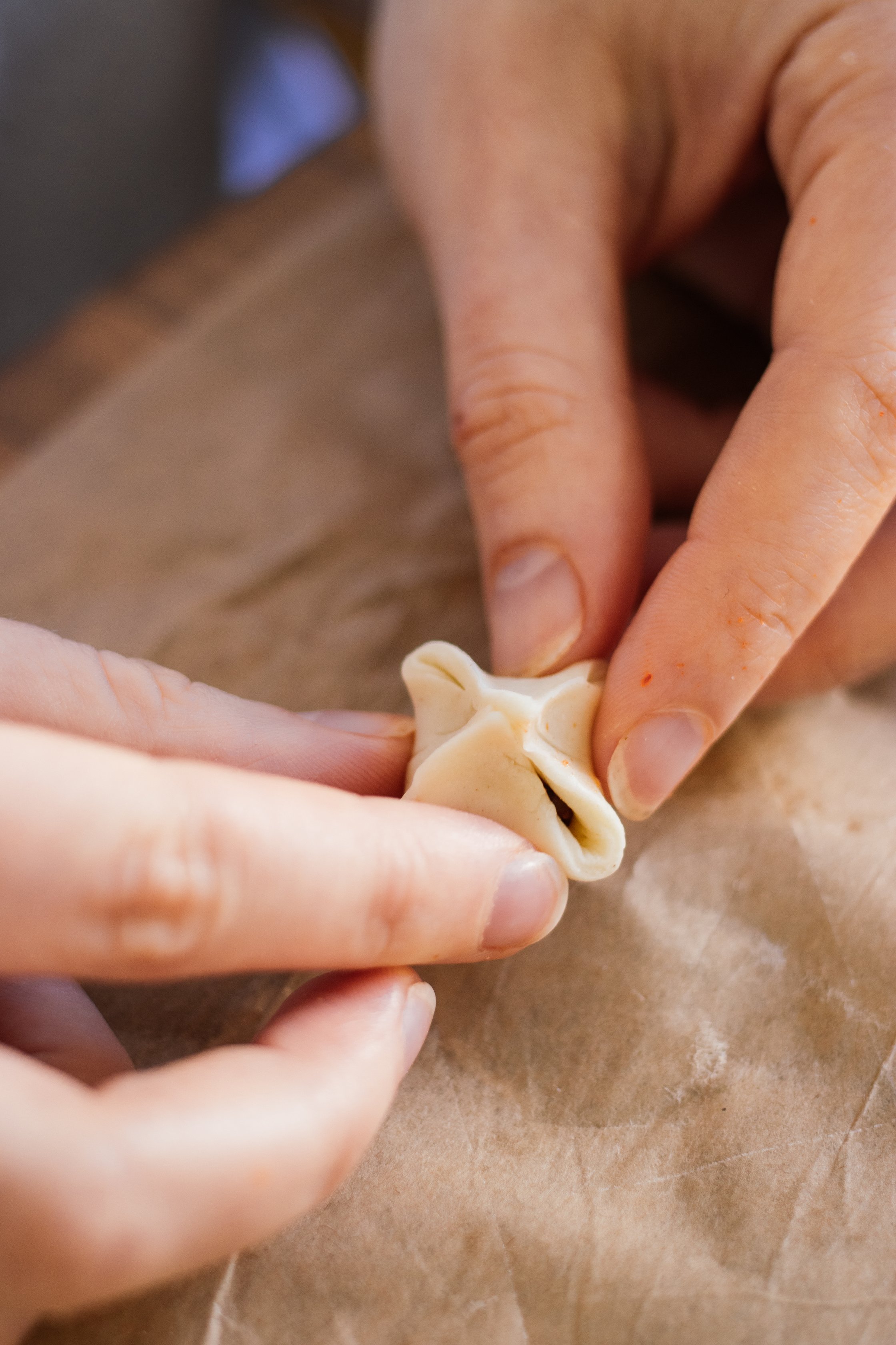 vegan manti after folding