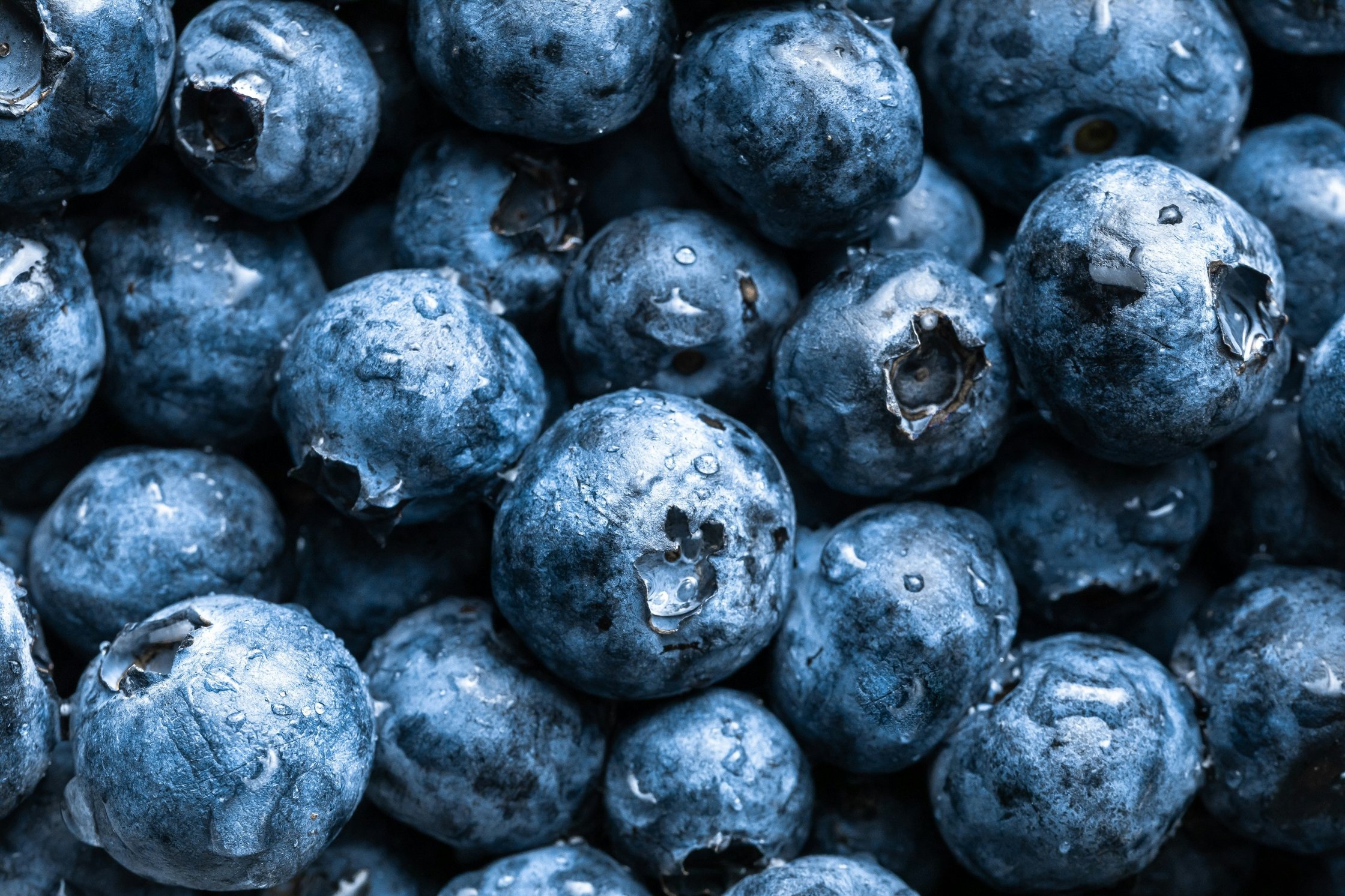 Nahaufnahme von Blaubeeren