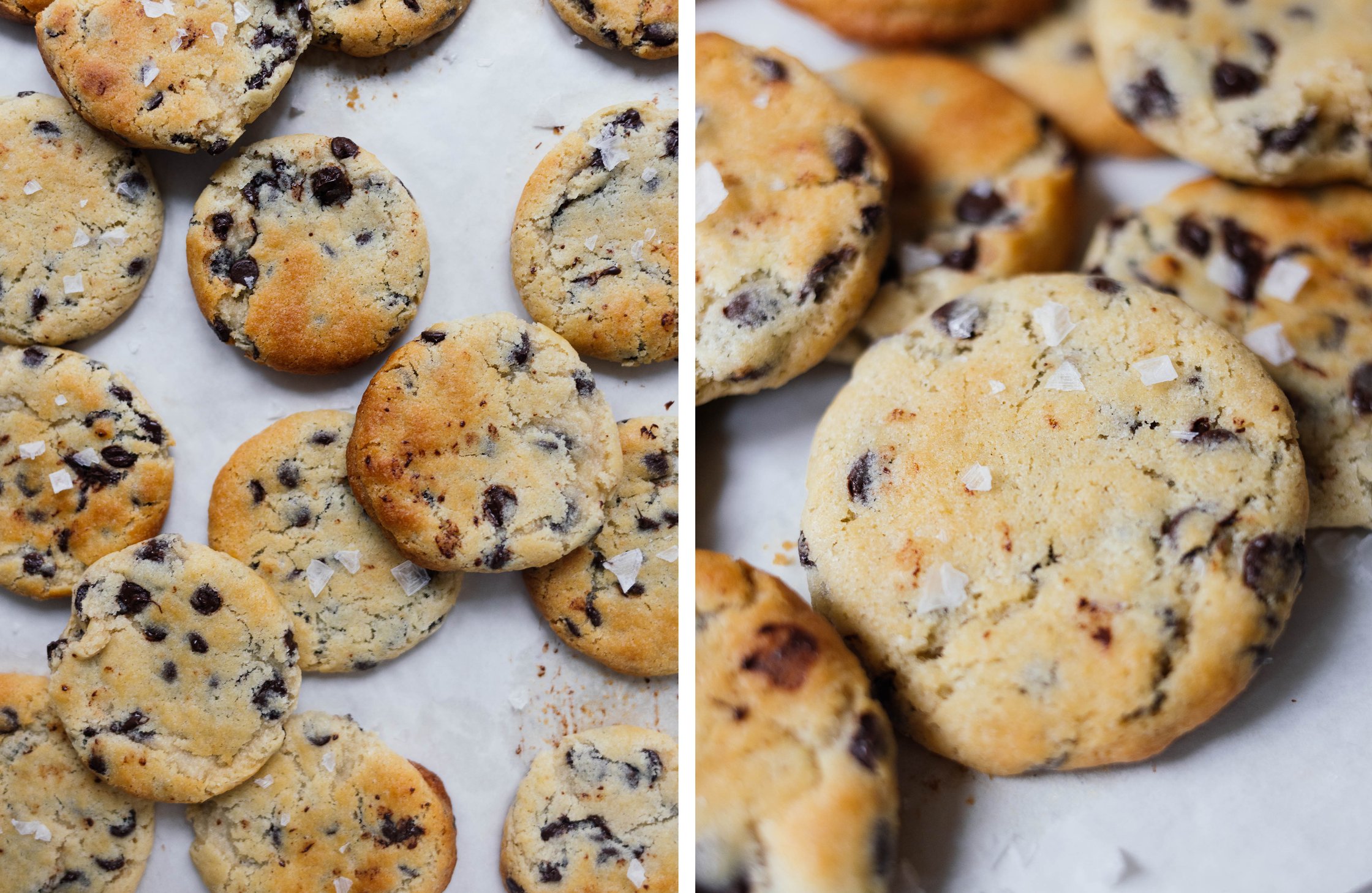 vegane Chocolate Chip Cookies auf Backpapier