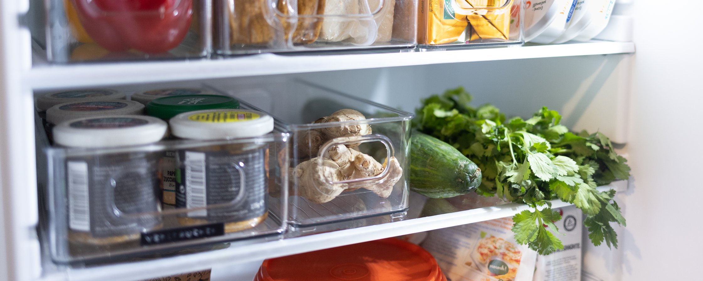 Refrigerator from inside