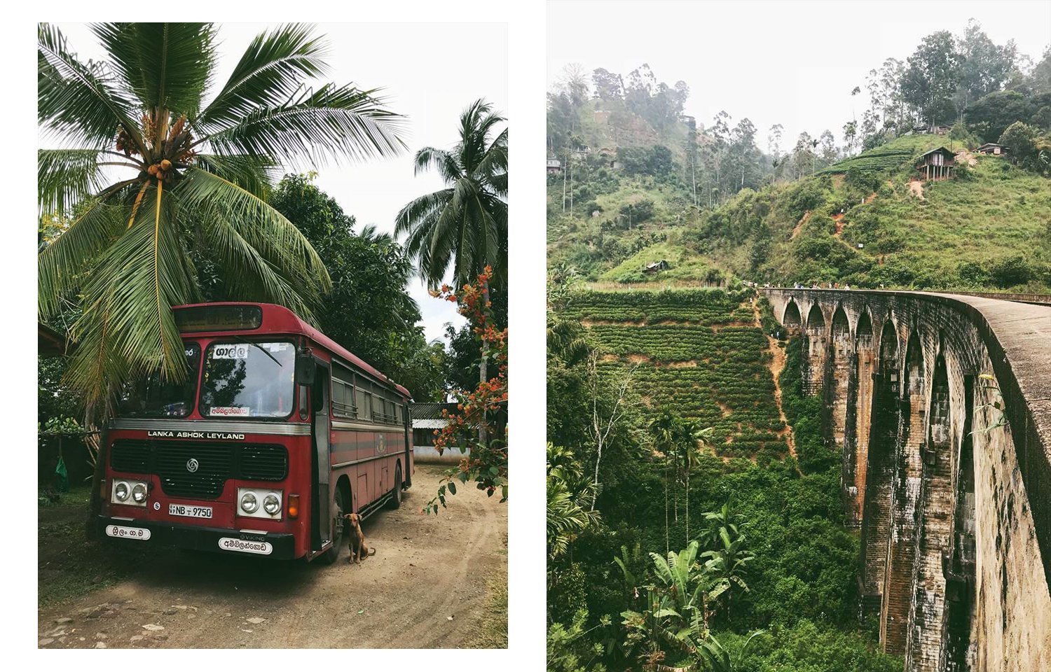 landscape in sri lanka