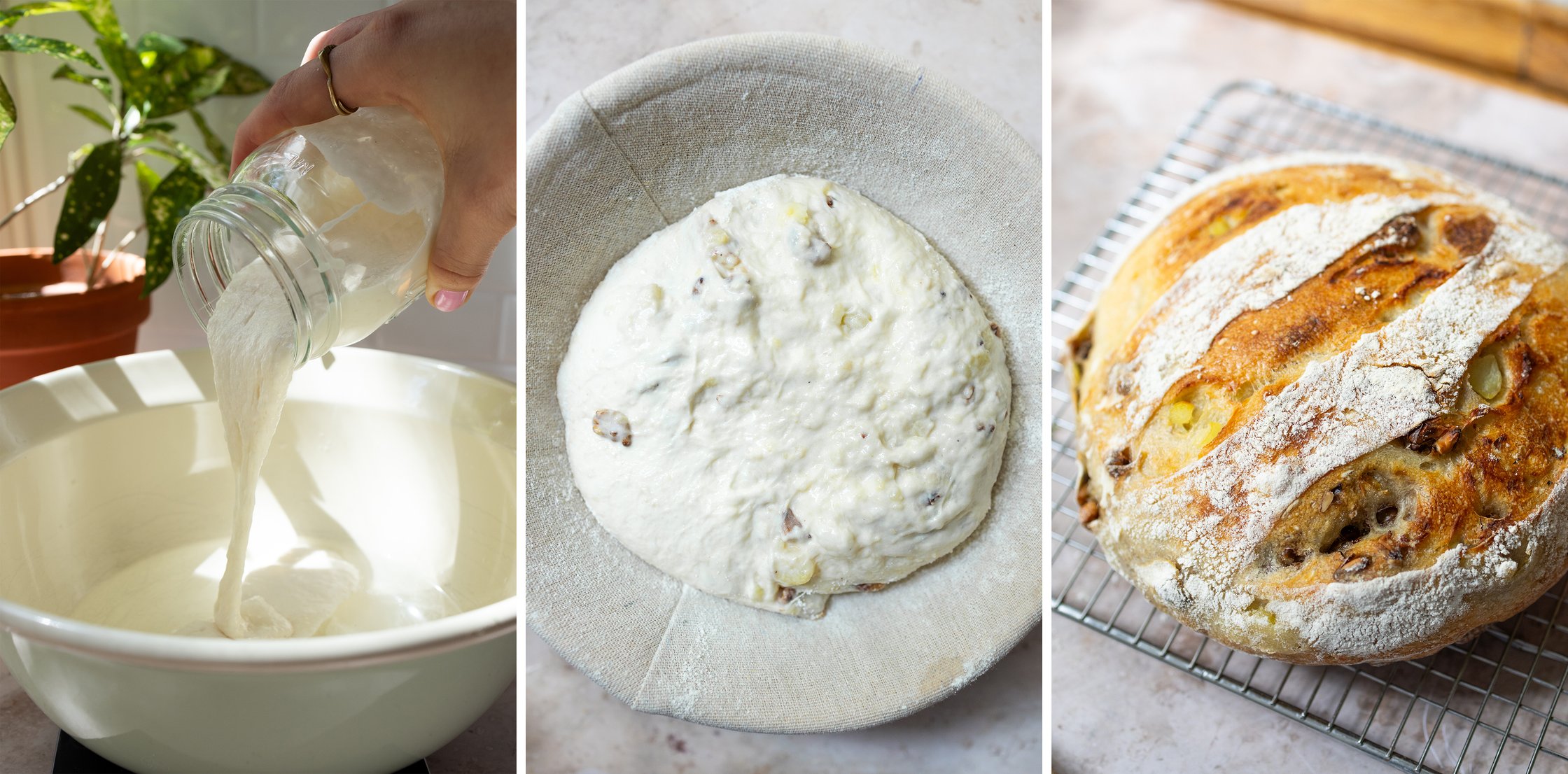 ein kartoffel-walnussbrot wird mit sauerteig gebacken