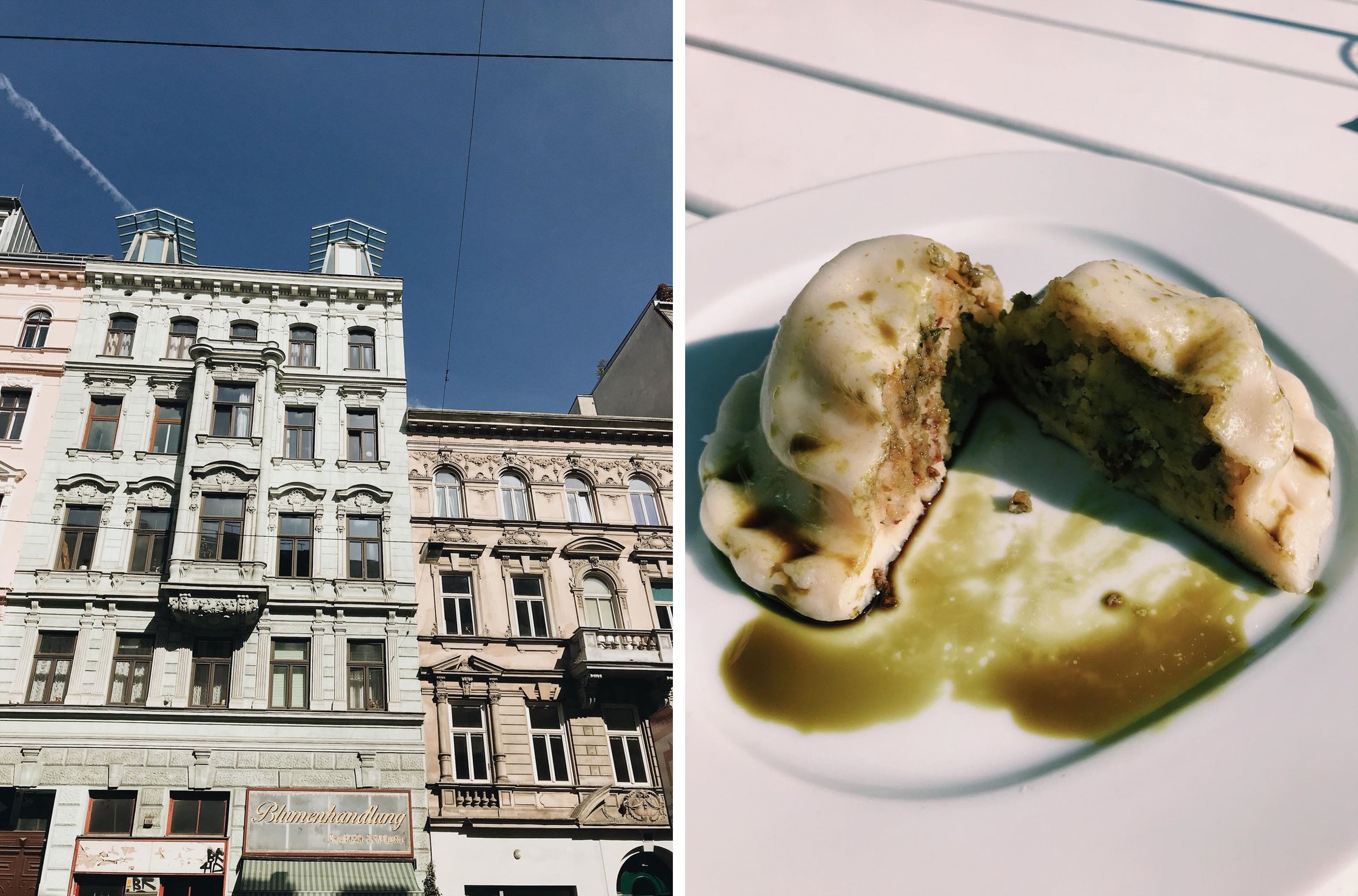 house in vienna and kärtner nudel