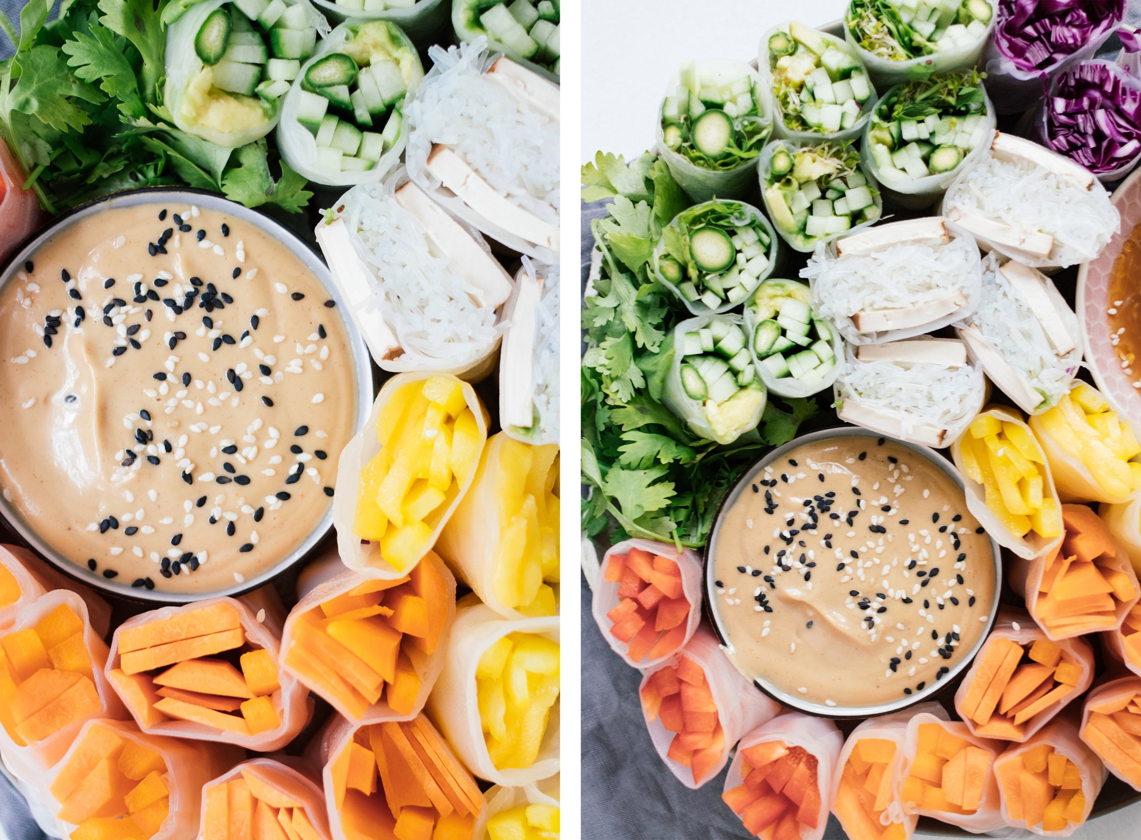vegan summer rolls with peanut dip