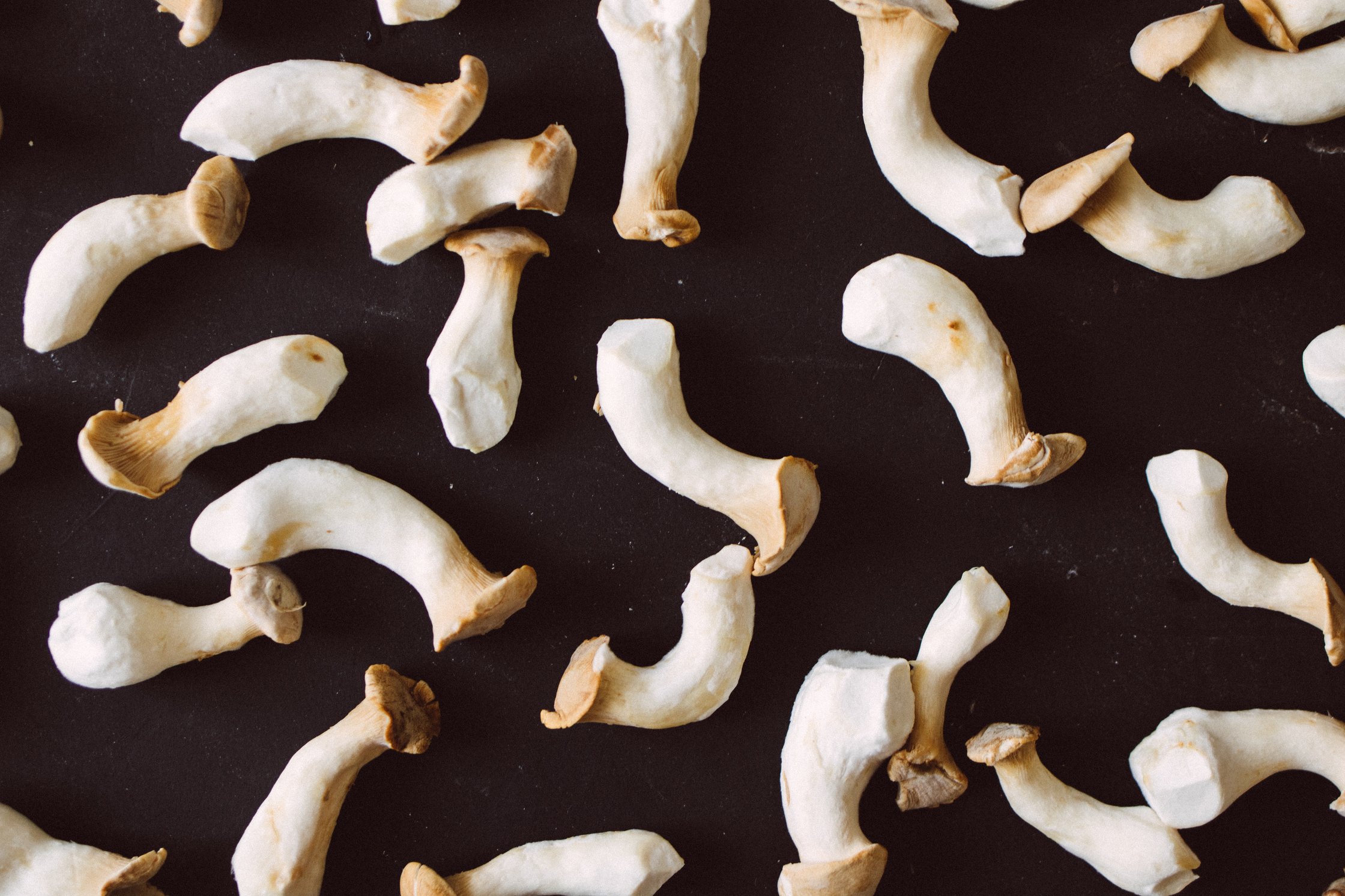 king oyster mushrooms on the table
