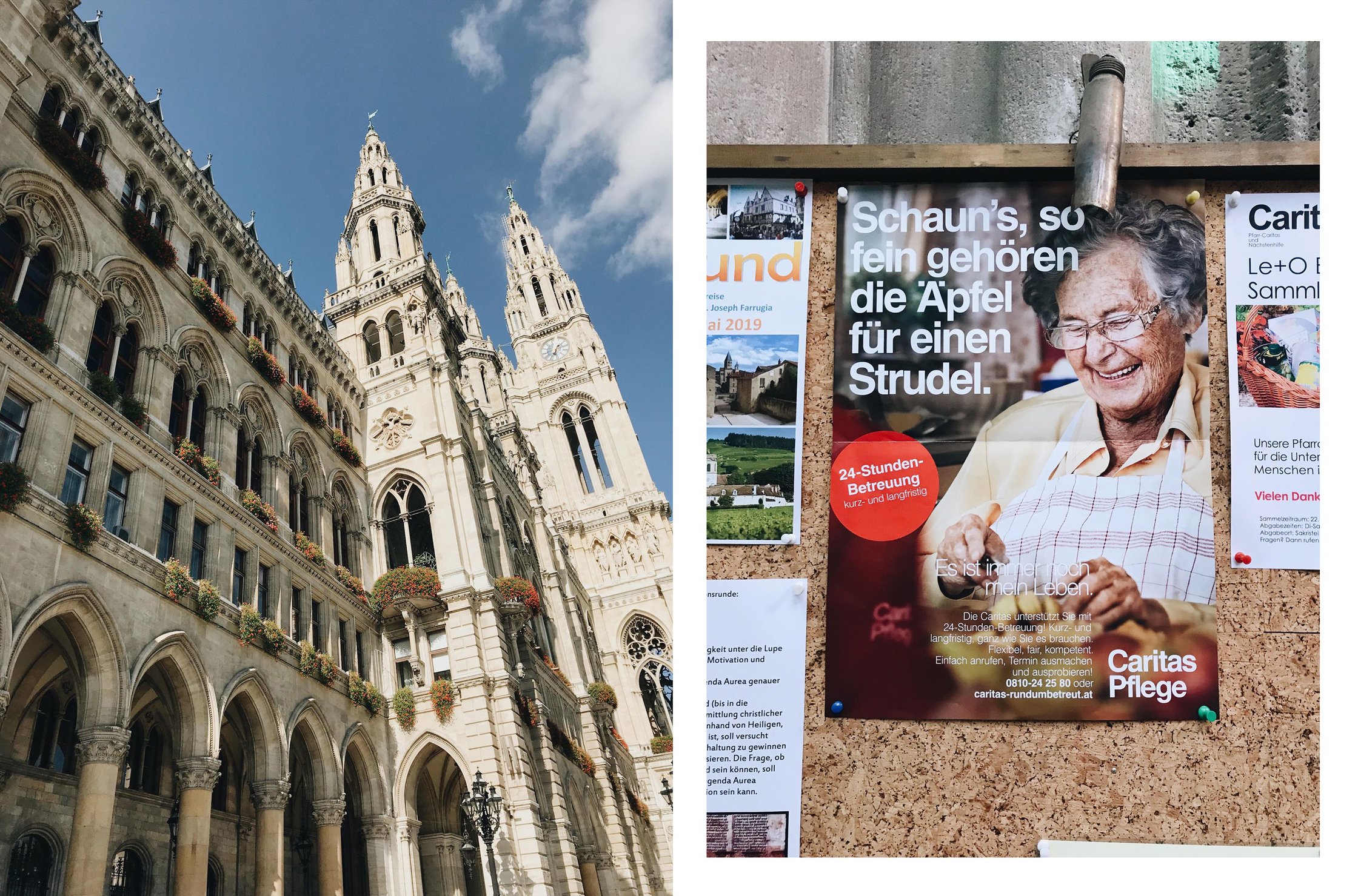 sight seeing in vienna