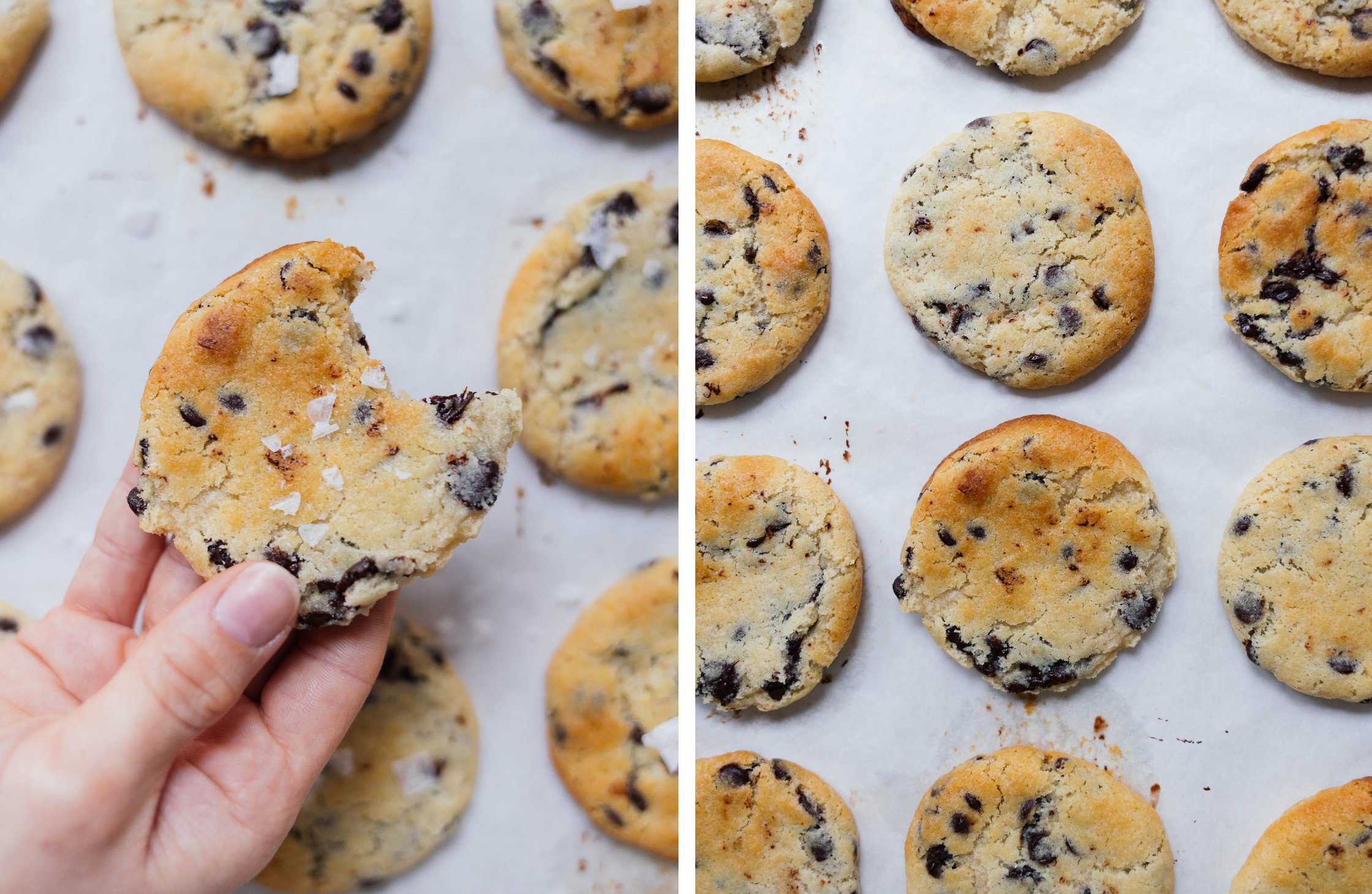 vegane Chocolate Chip Cookies nach dem Backen