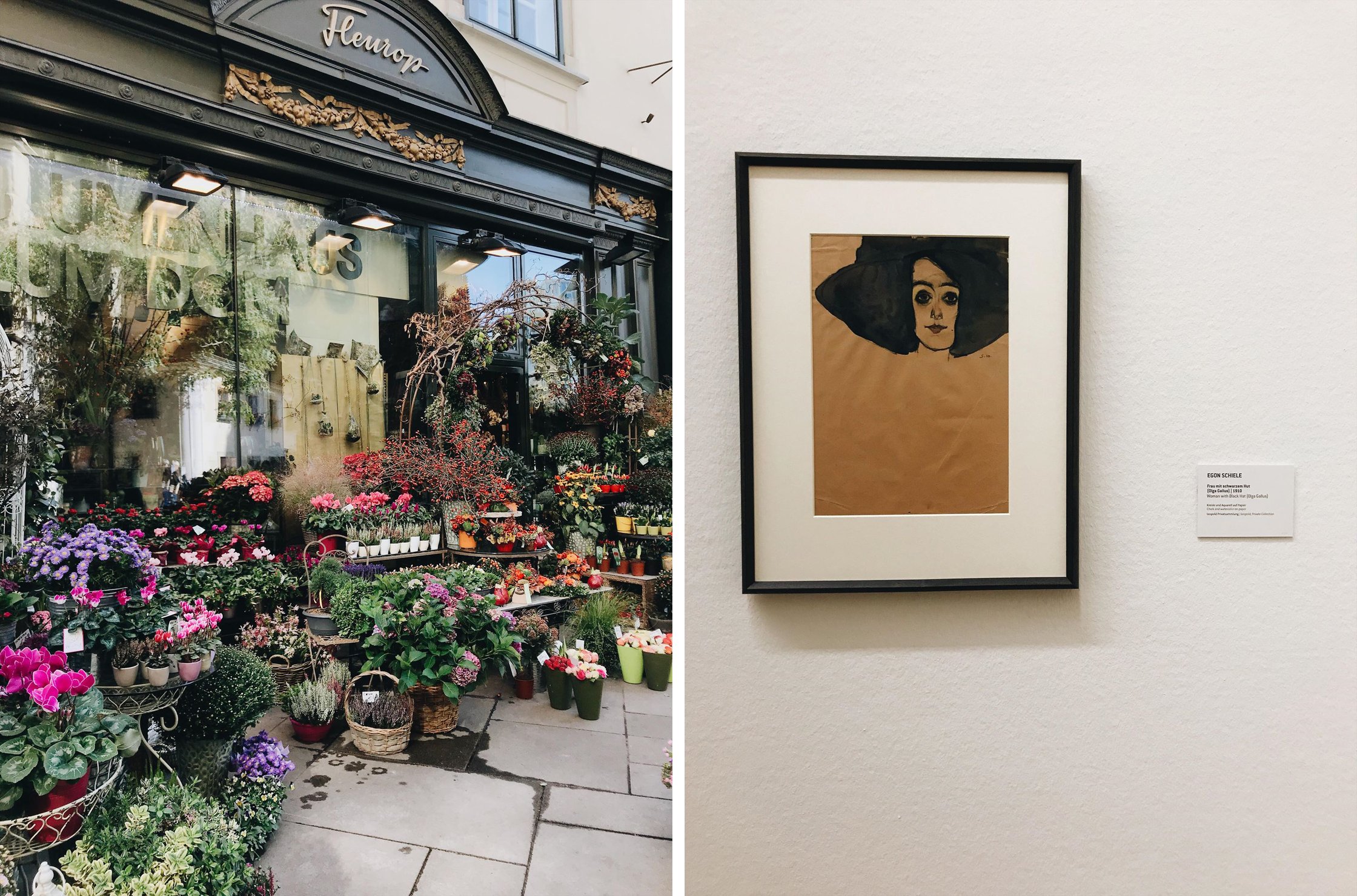 flower shop and gallery in vienna