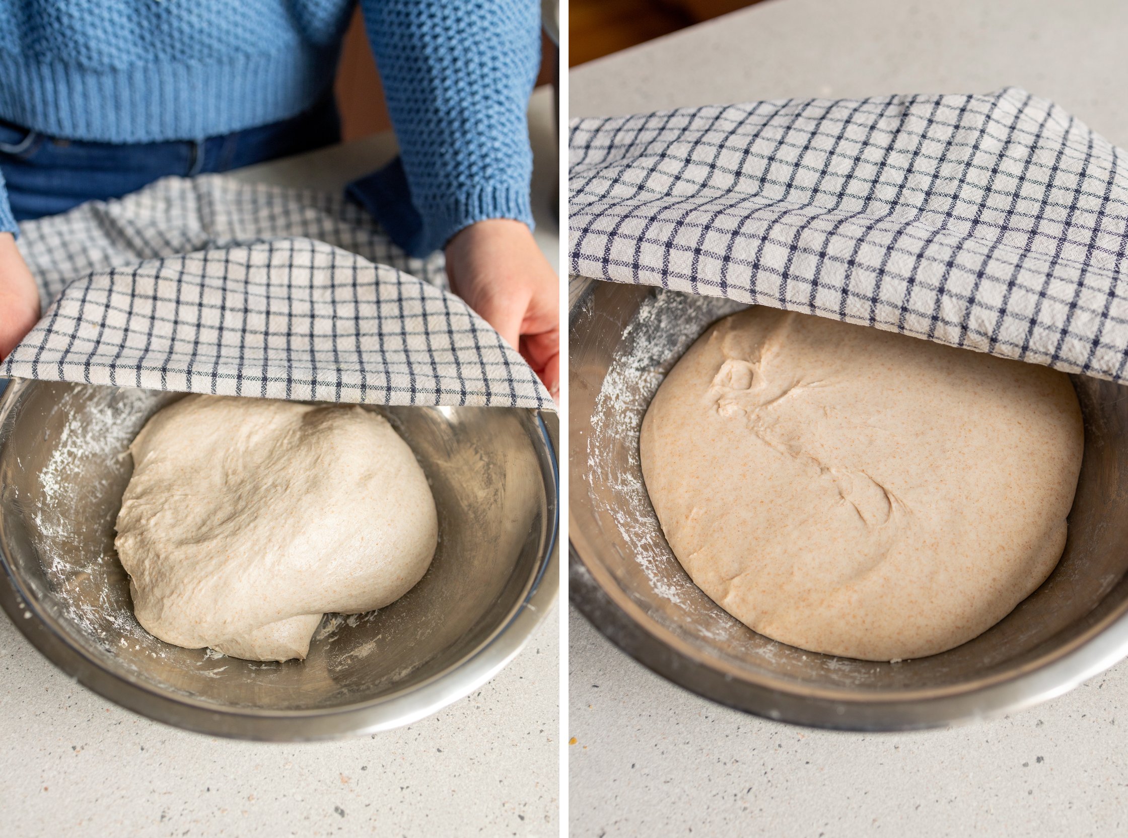 R1046 Einfache Sauerteigbrötchen über Nacht